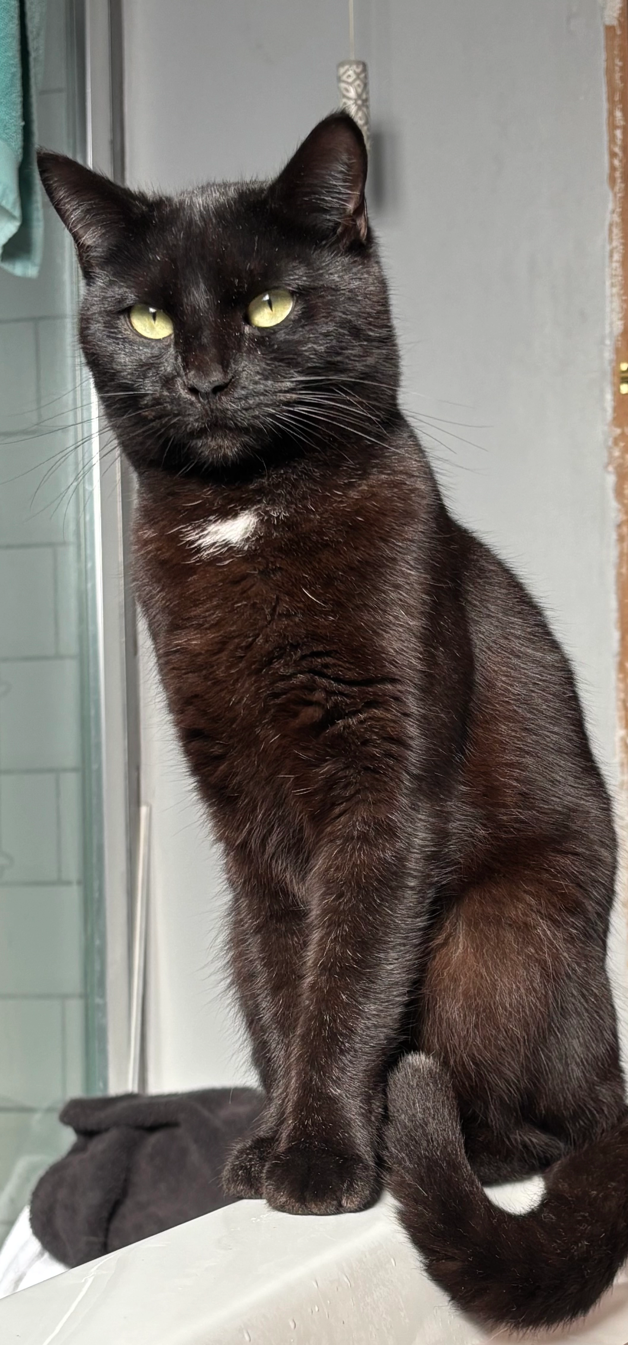 Tip - The Mayfields, Redditch