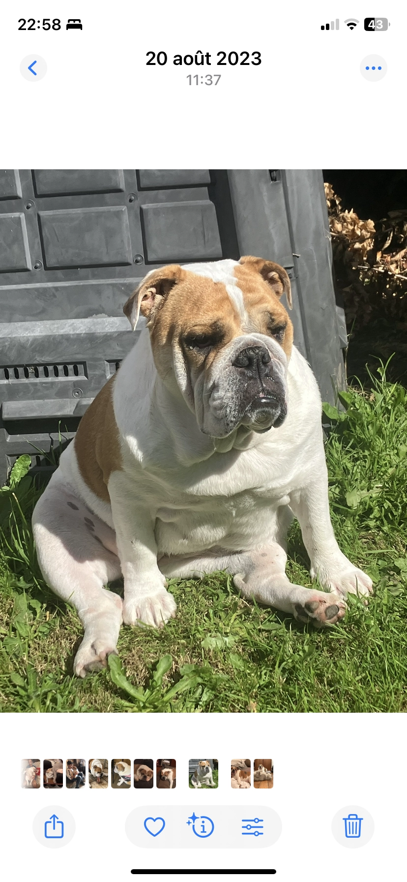 peps - Rue Au Loup, Manneville-la-Pipard