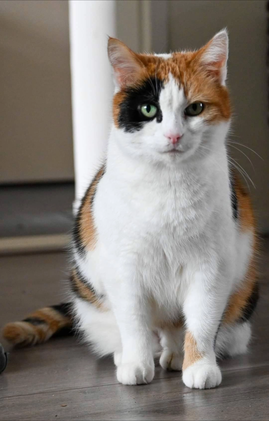 Spooky - W. Boumastraat, Sint-Annaparochie