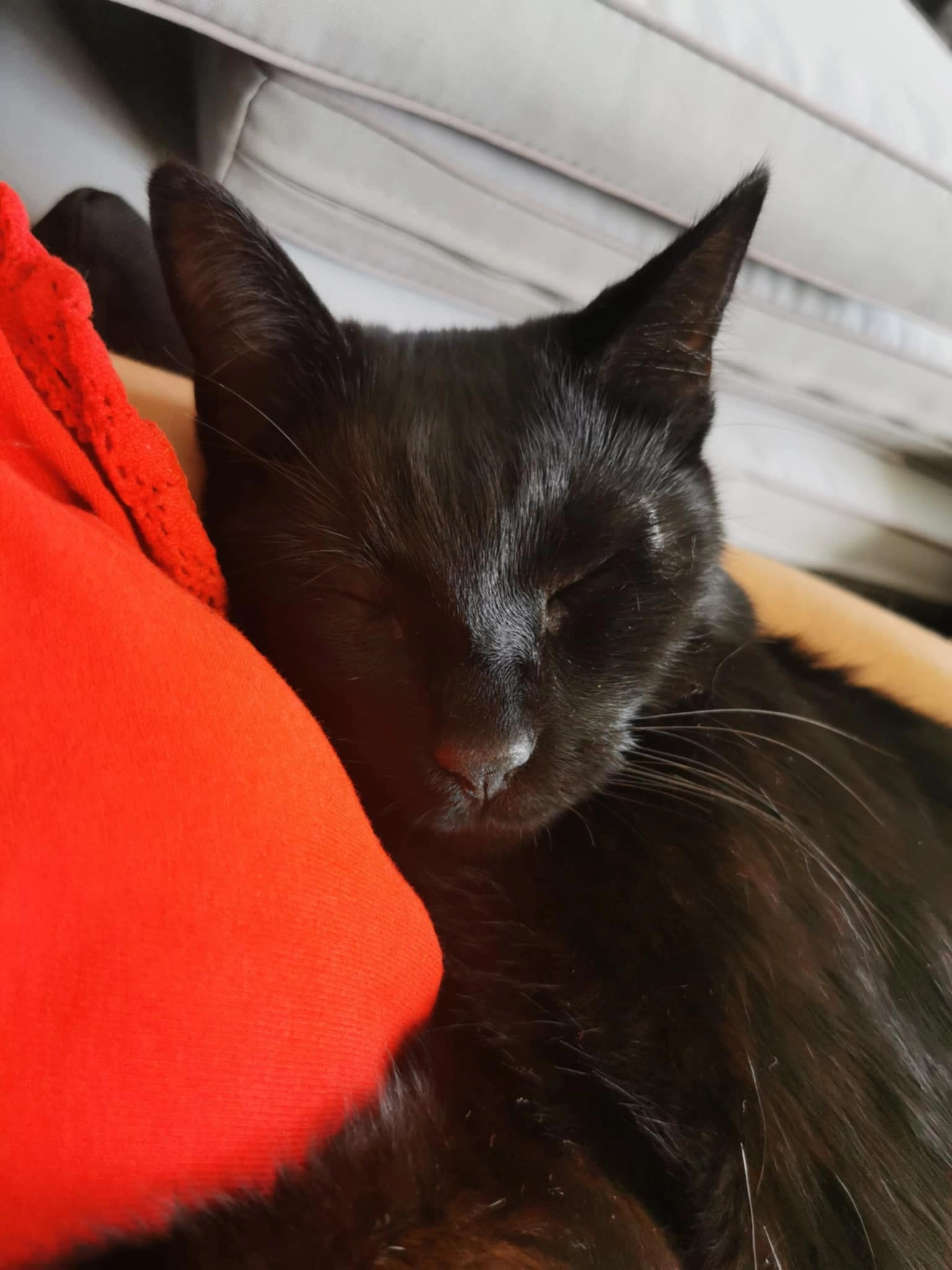 Saucisse - Chemin des Marais, La Balme-les-Grottes