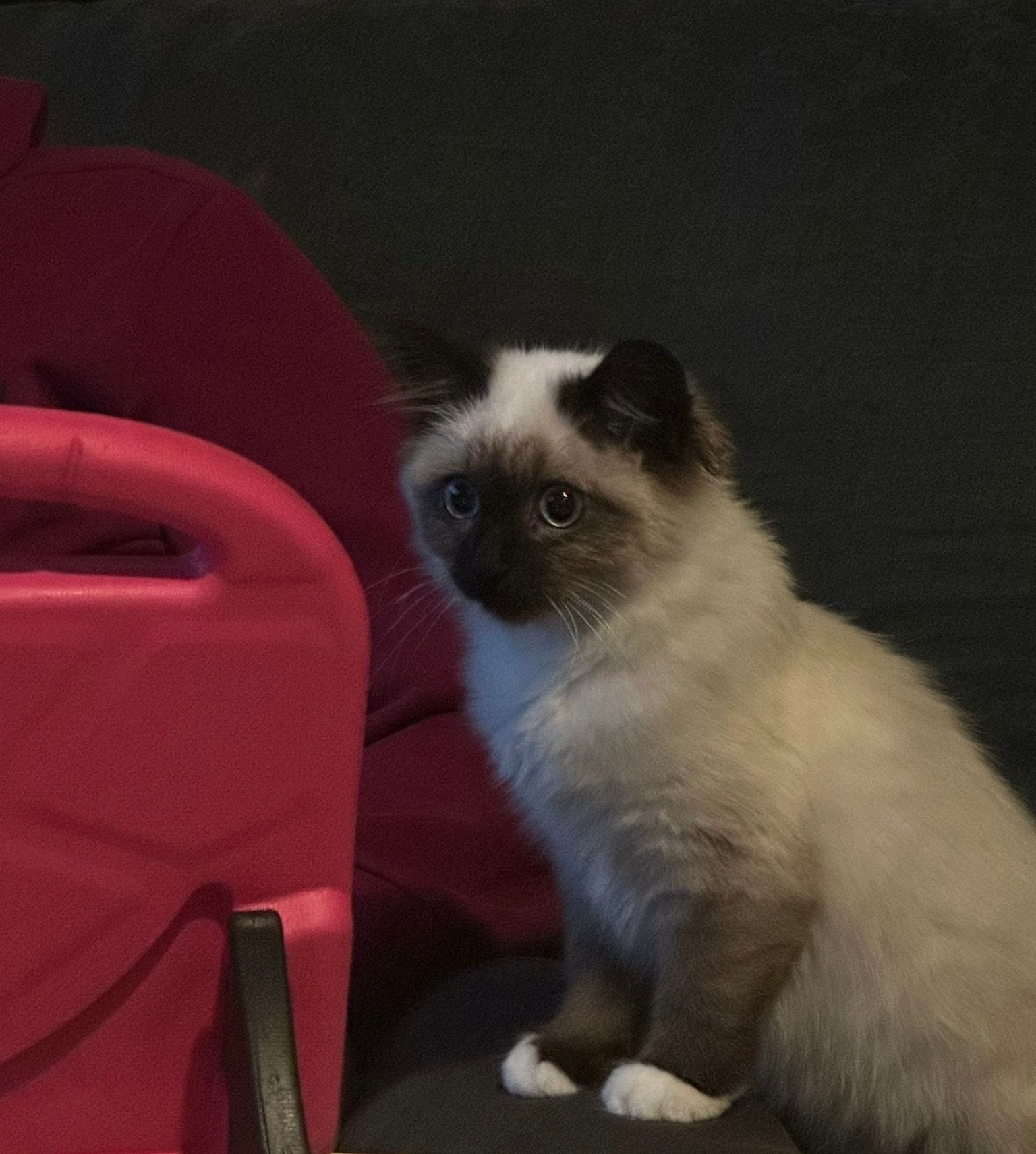 Nunu - Christian-Ludwig-Bosse-Straße, Rastede