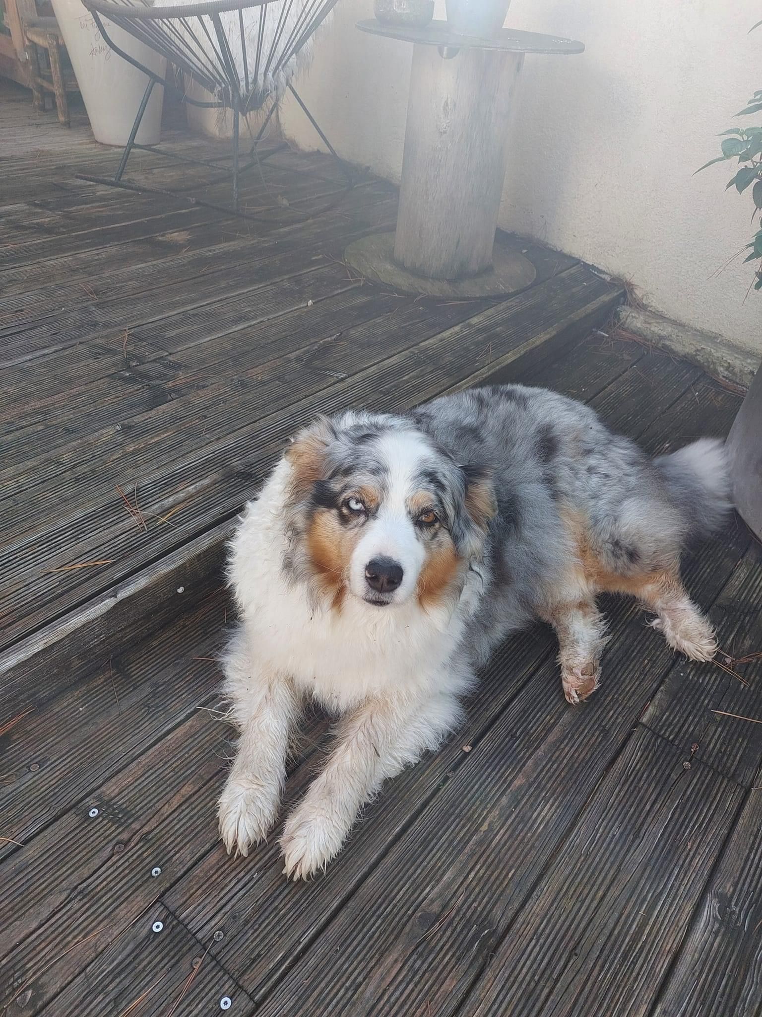Mya - Chemin de la Pierre Longue, Villeneuve-lès-Avignon