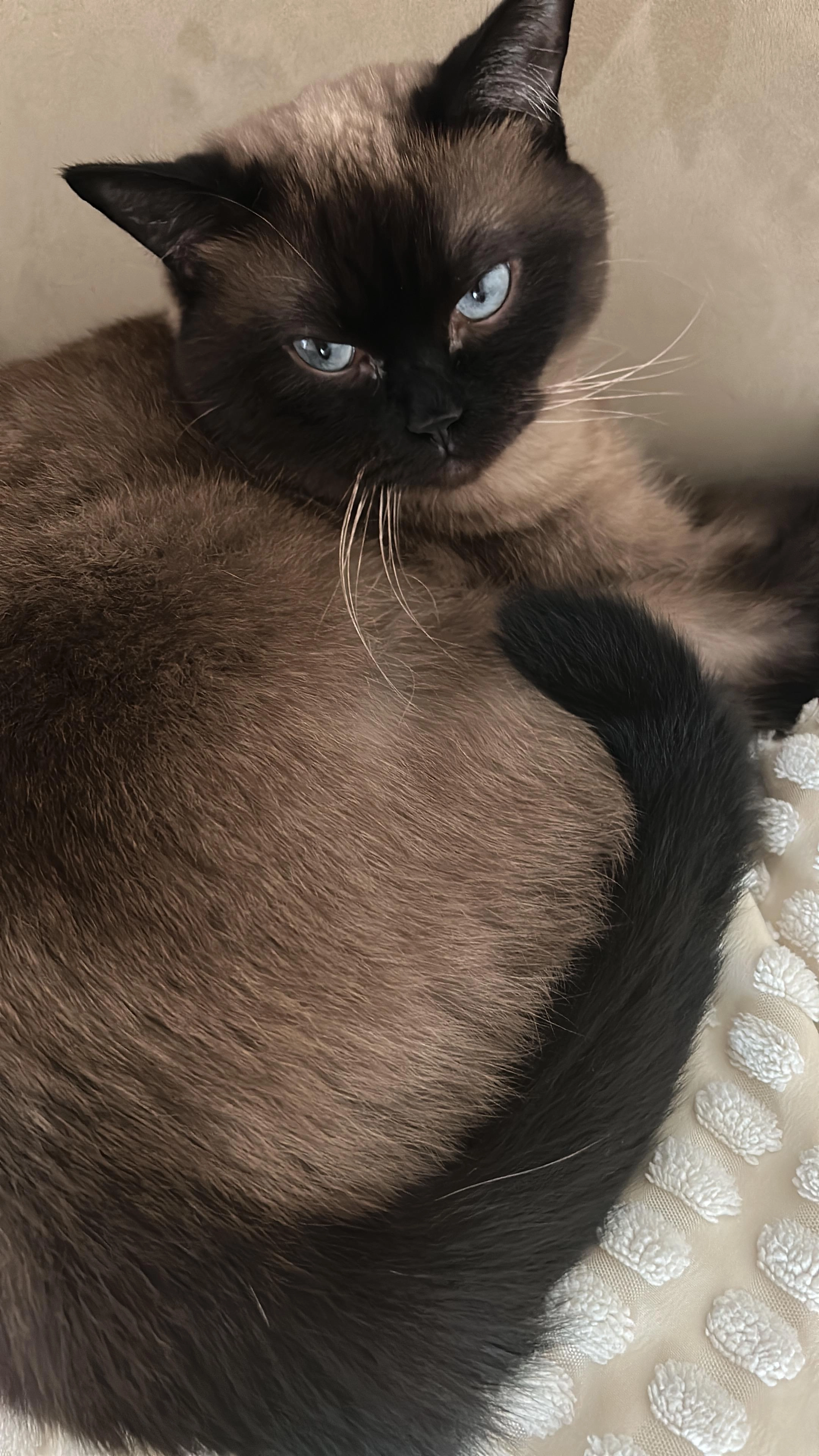 Yaman - Gottfried-Kinkel-Straße, Göppingen