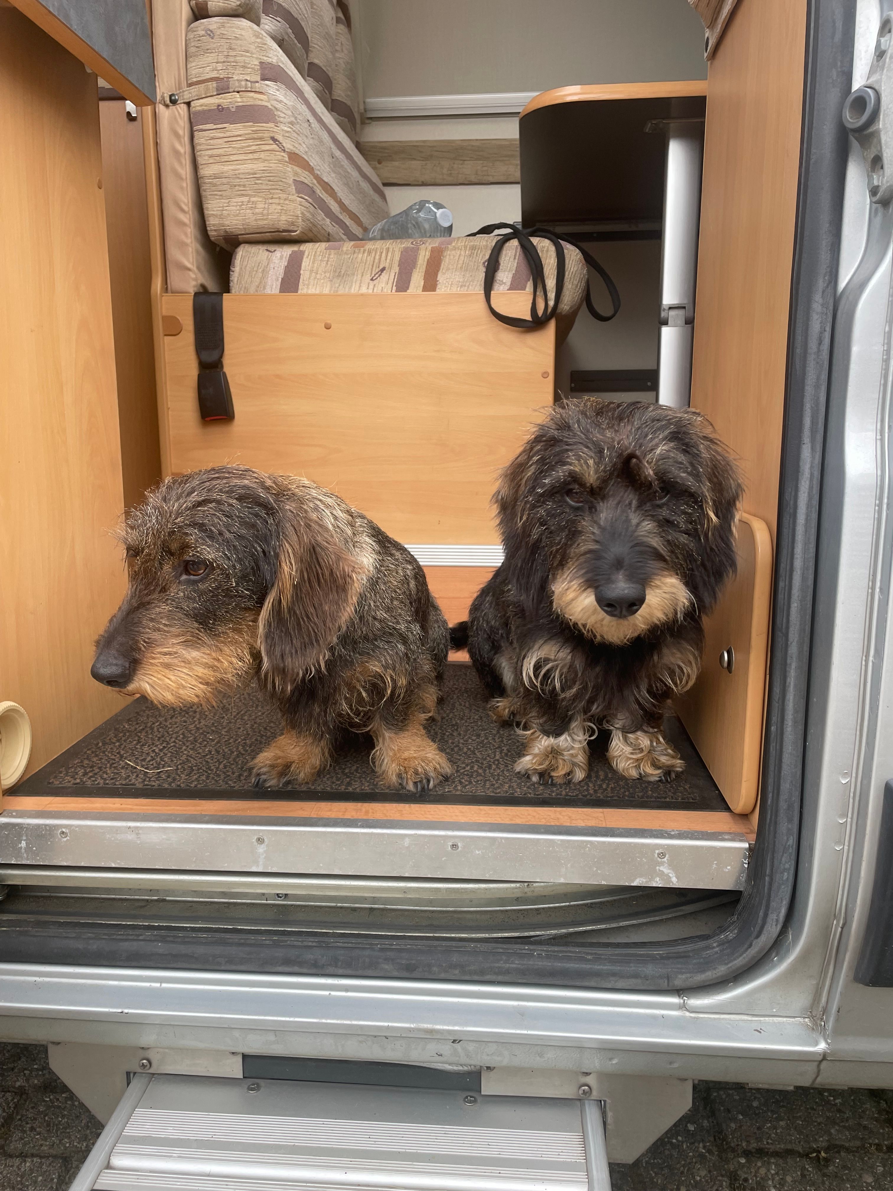 Fientje - Duifweg, Deurne