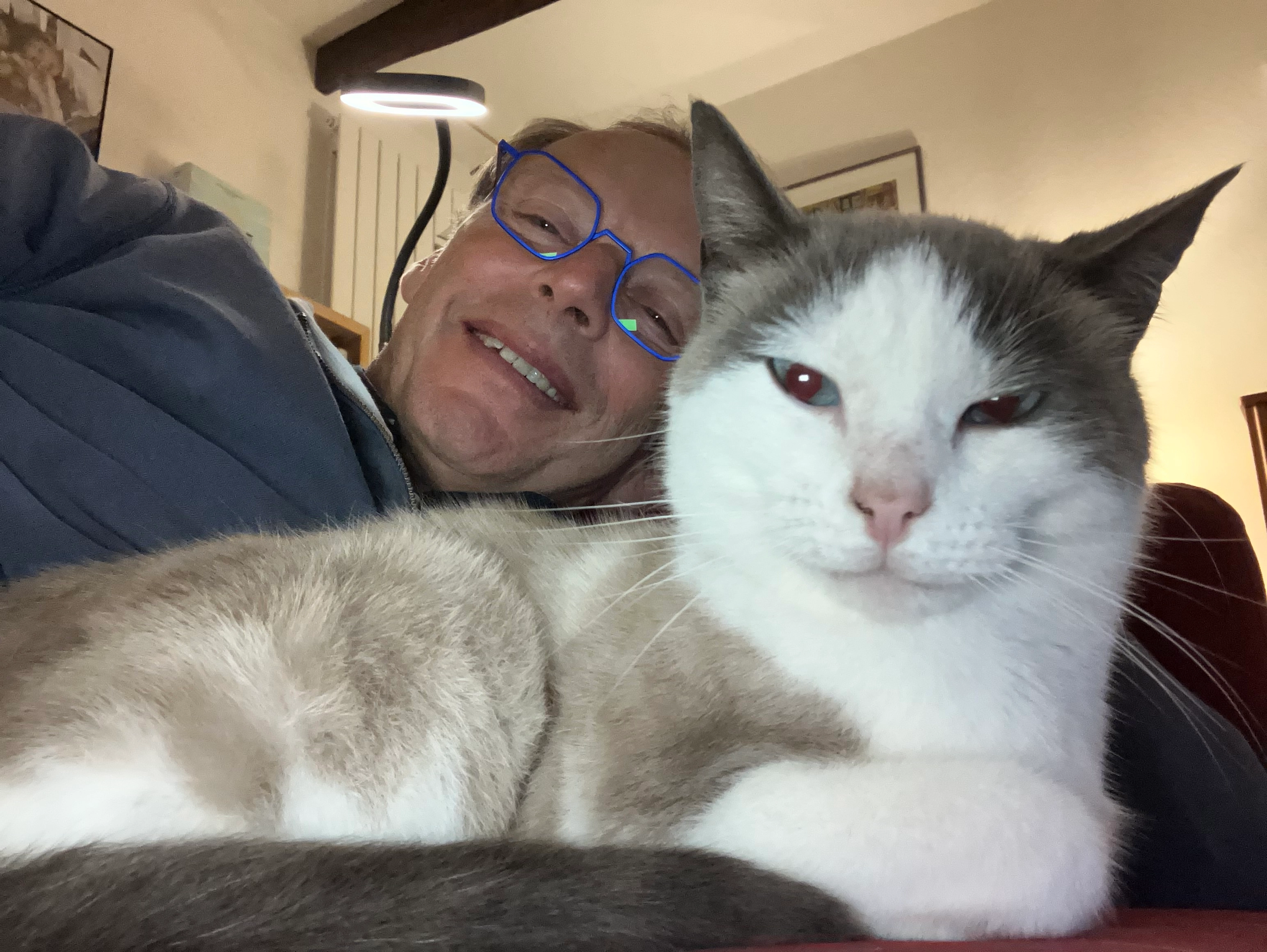 Yang - 47 Rue de Saint-Maudé, Lorient