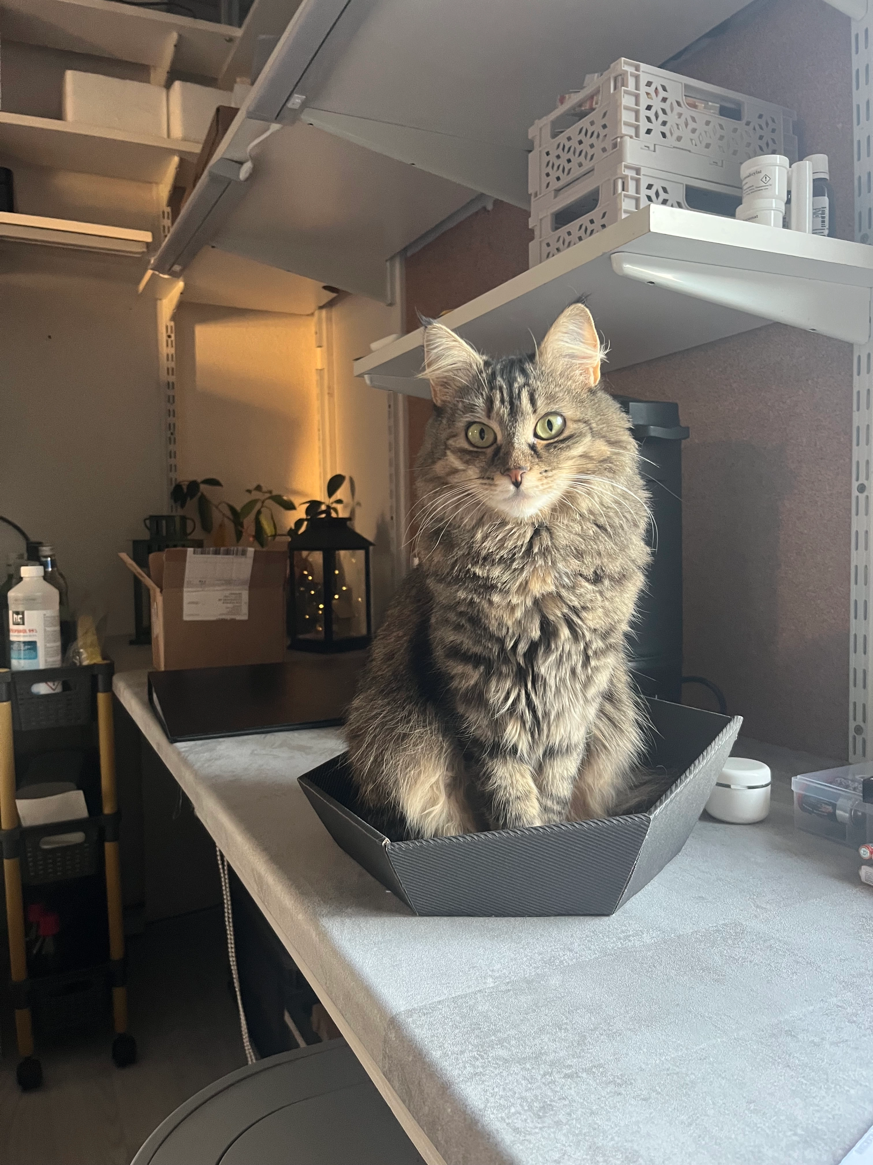 Lia - Schachener Straße, Lindau