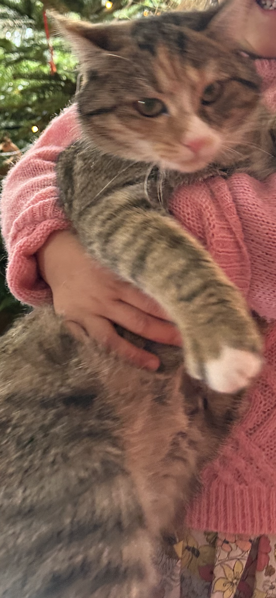 Anan - Lindenhof, Blaustein