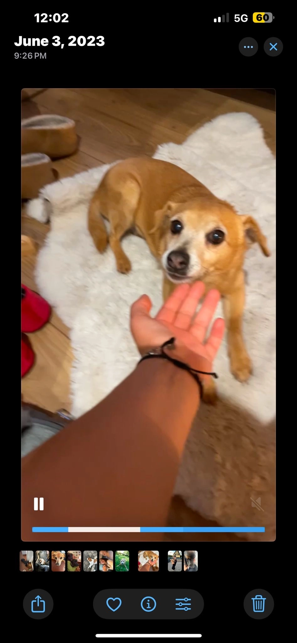 Bambou  - 79 Rue Principale, Lutzelhouse