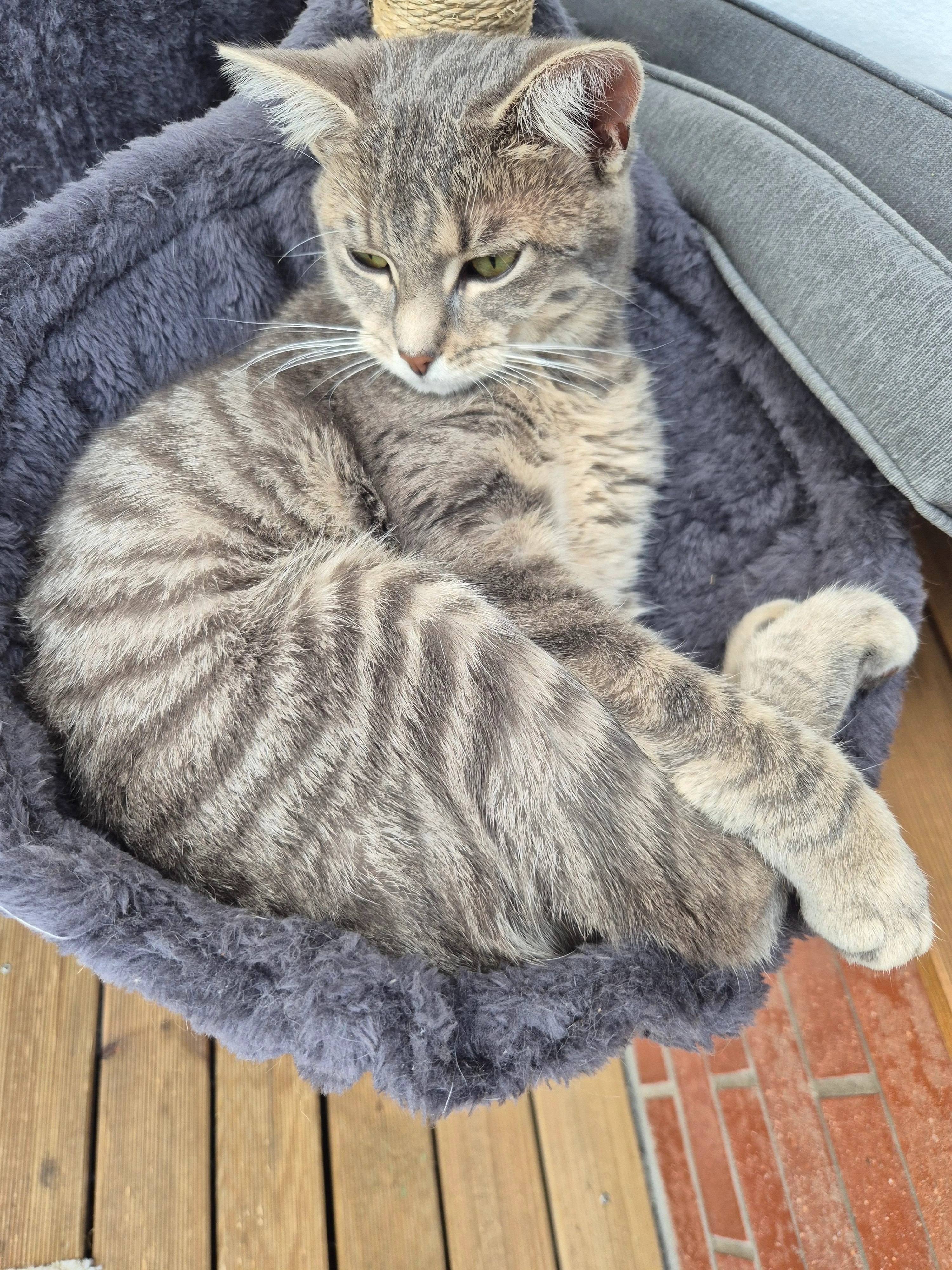 fifille - Rue Jean Racine, Cambrai