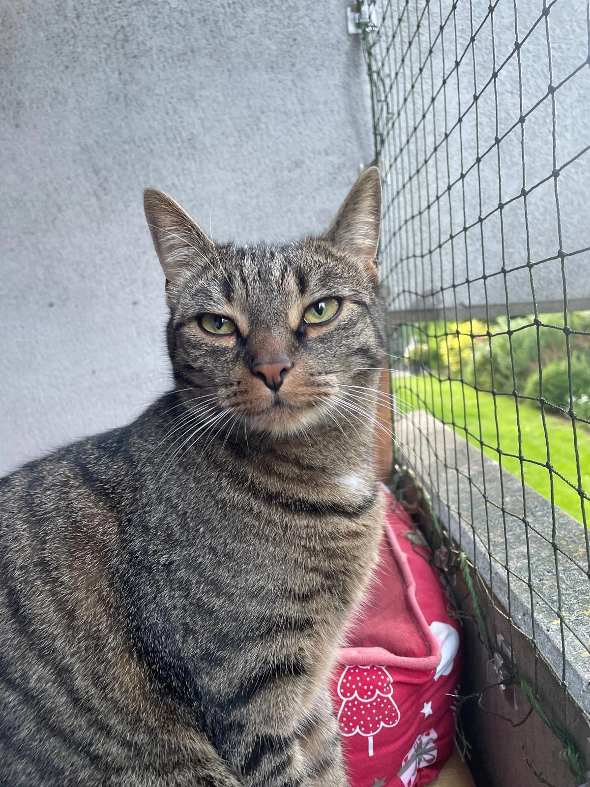 MewToo - Winkelsweg, Bonn