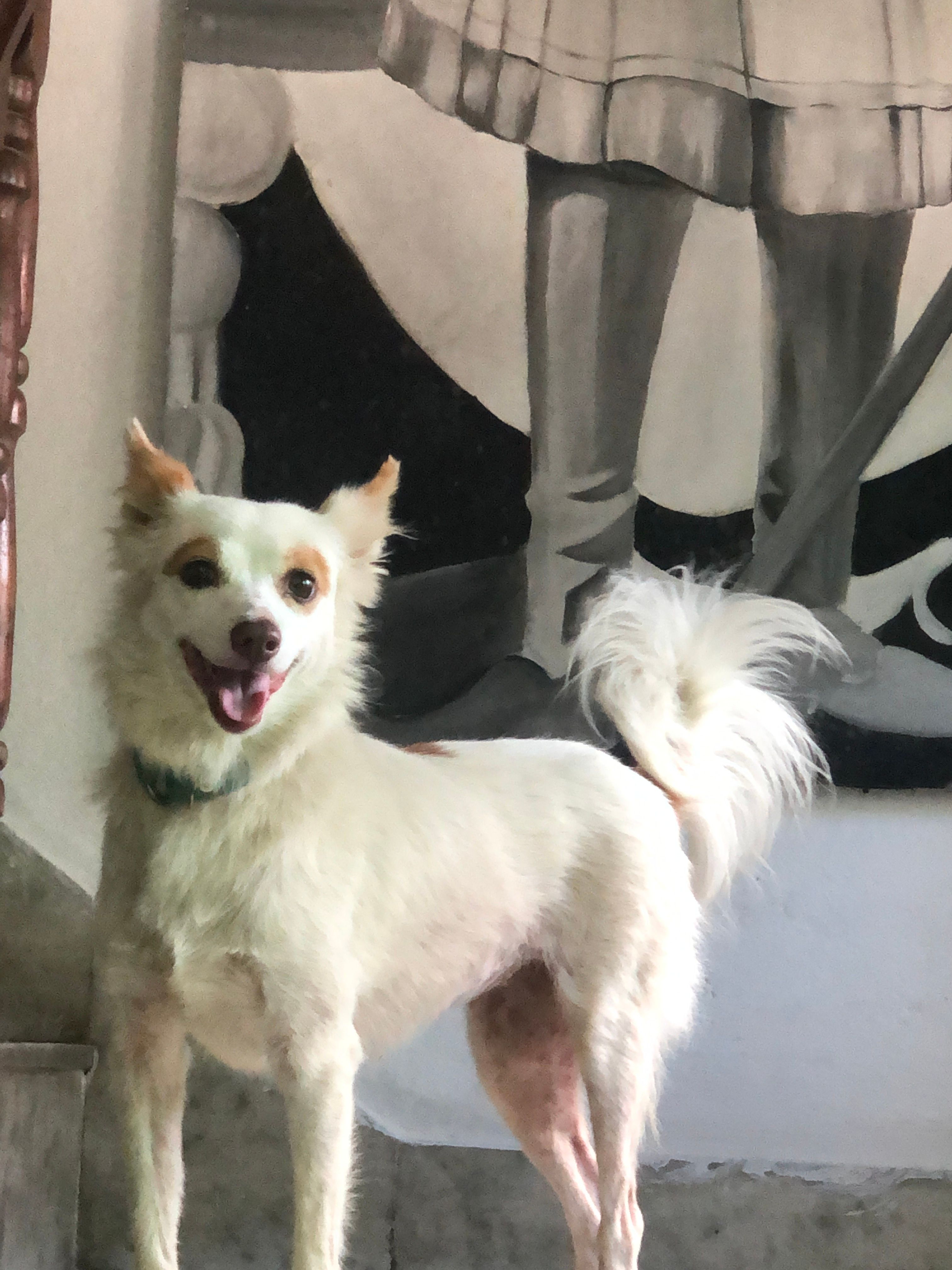 Sundari - Lainchaur, Kathmandu