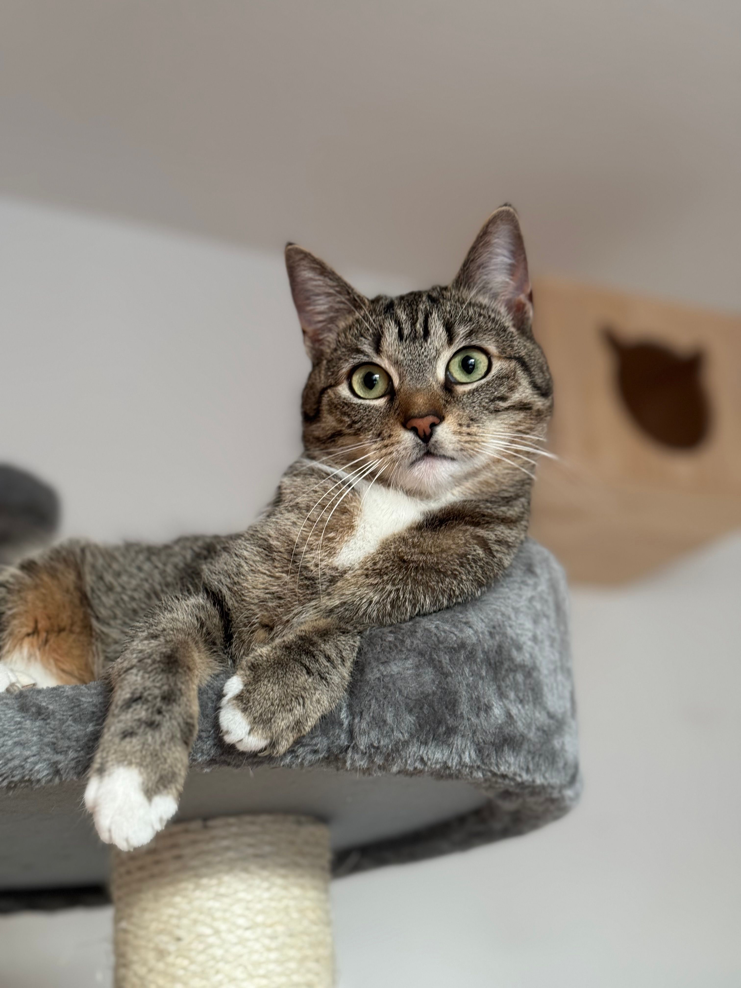 Carla - Hudering, Salzkotten