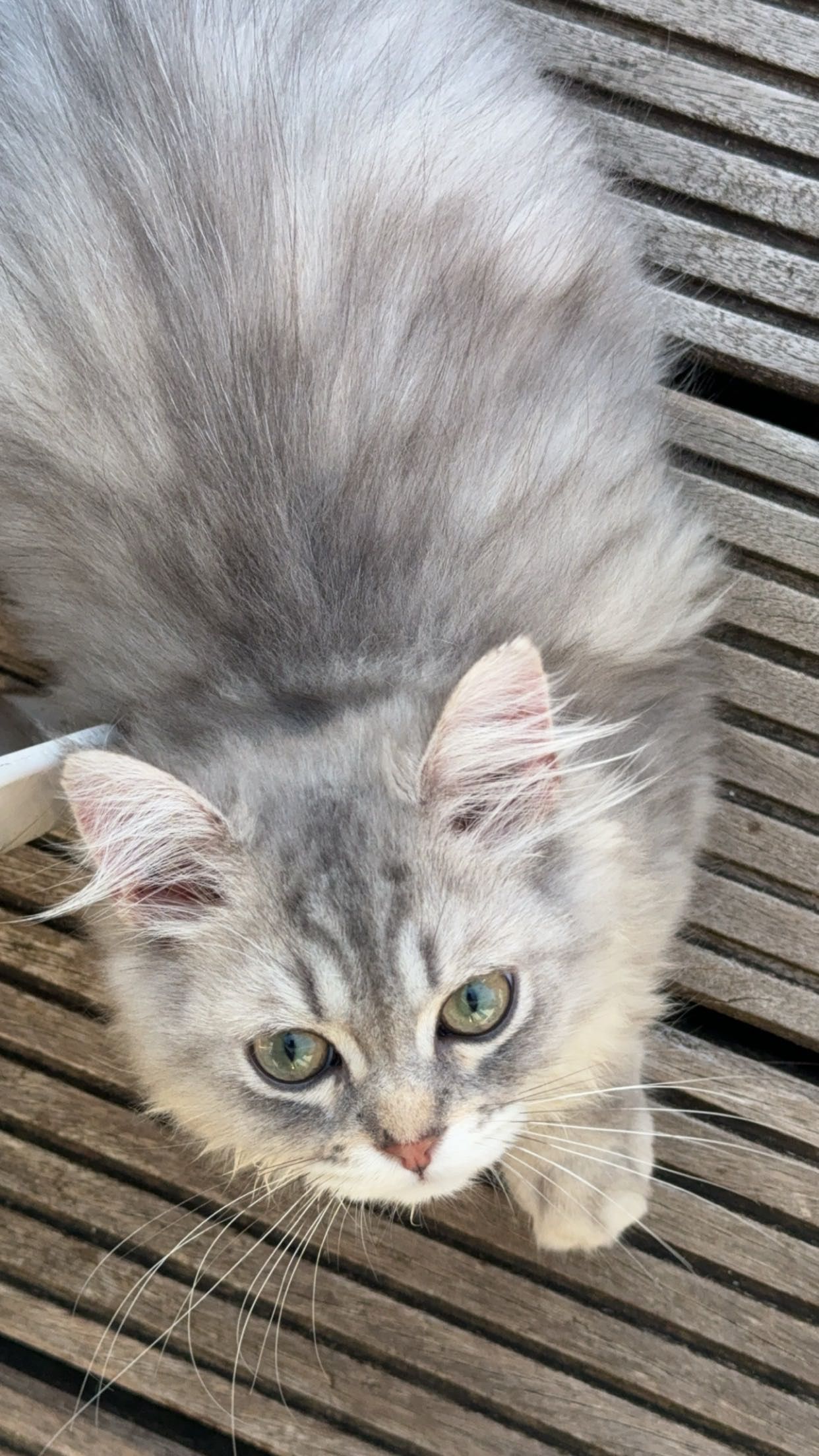 Thomas - Uhlandstraße, Bocholt