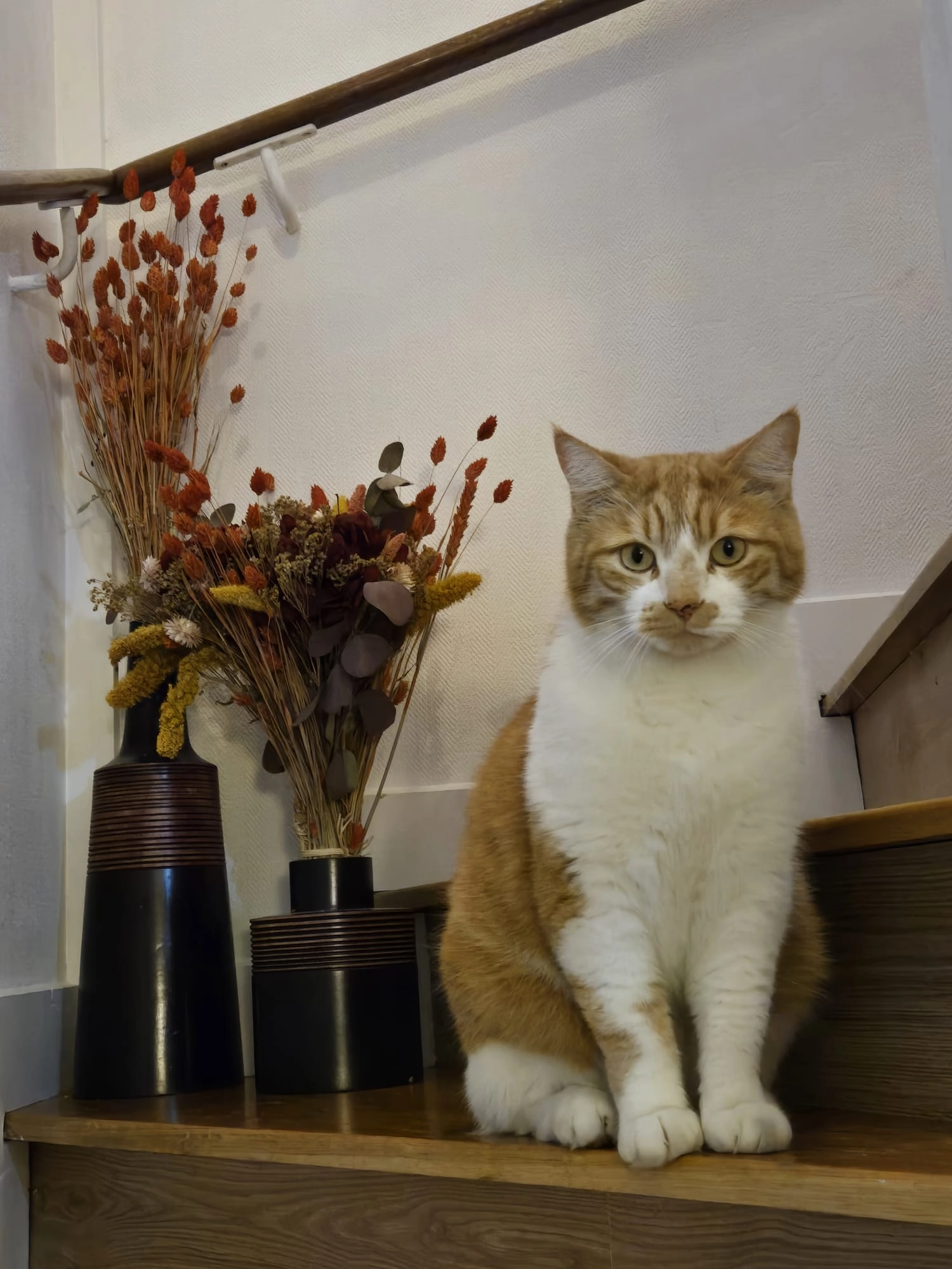 Theo - Rue Fatou, Meaux