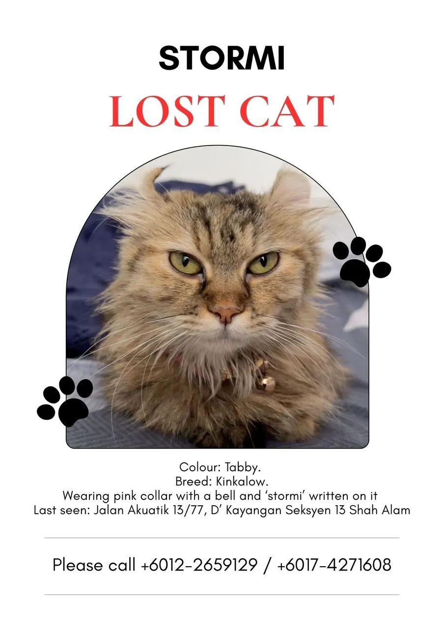 Stormi - Jalan Akuatik 13/77A, Shah Alam