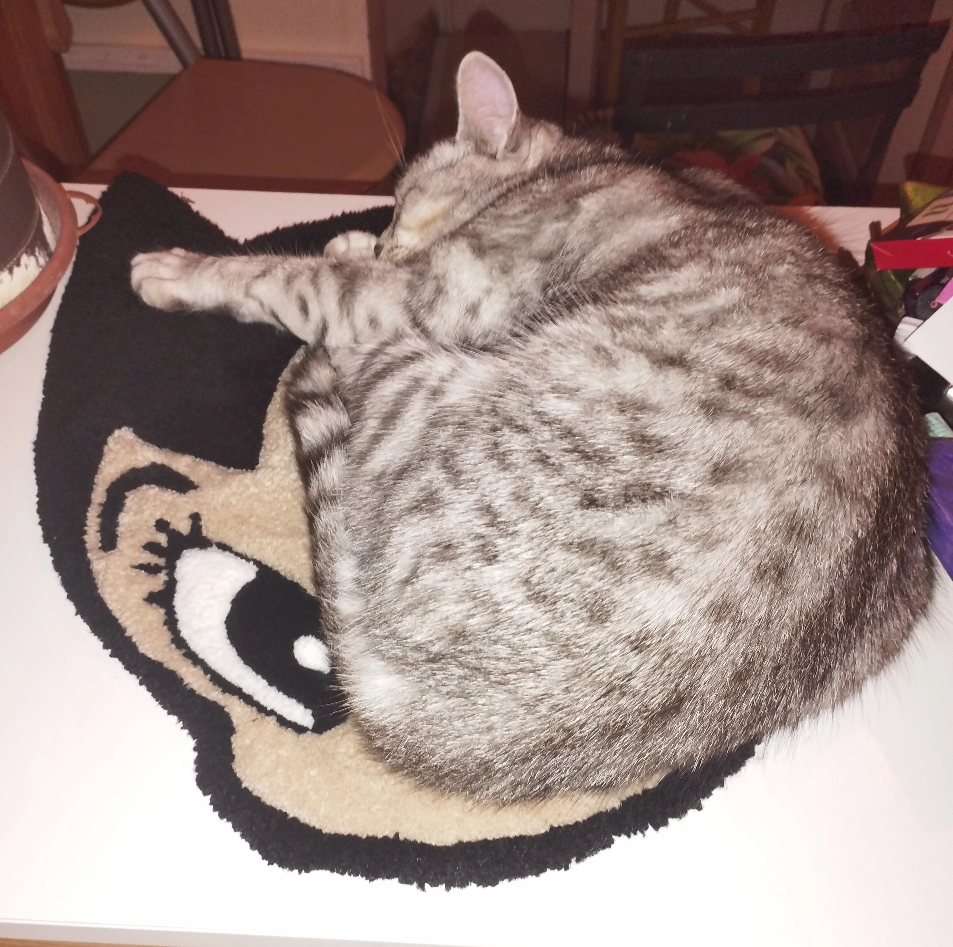 City - 20 Rue Burgaud Desmarets, Saintes