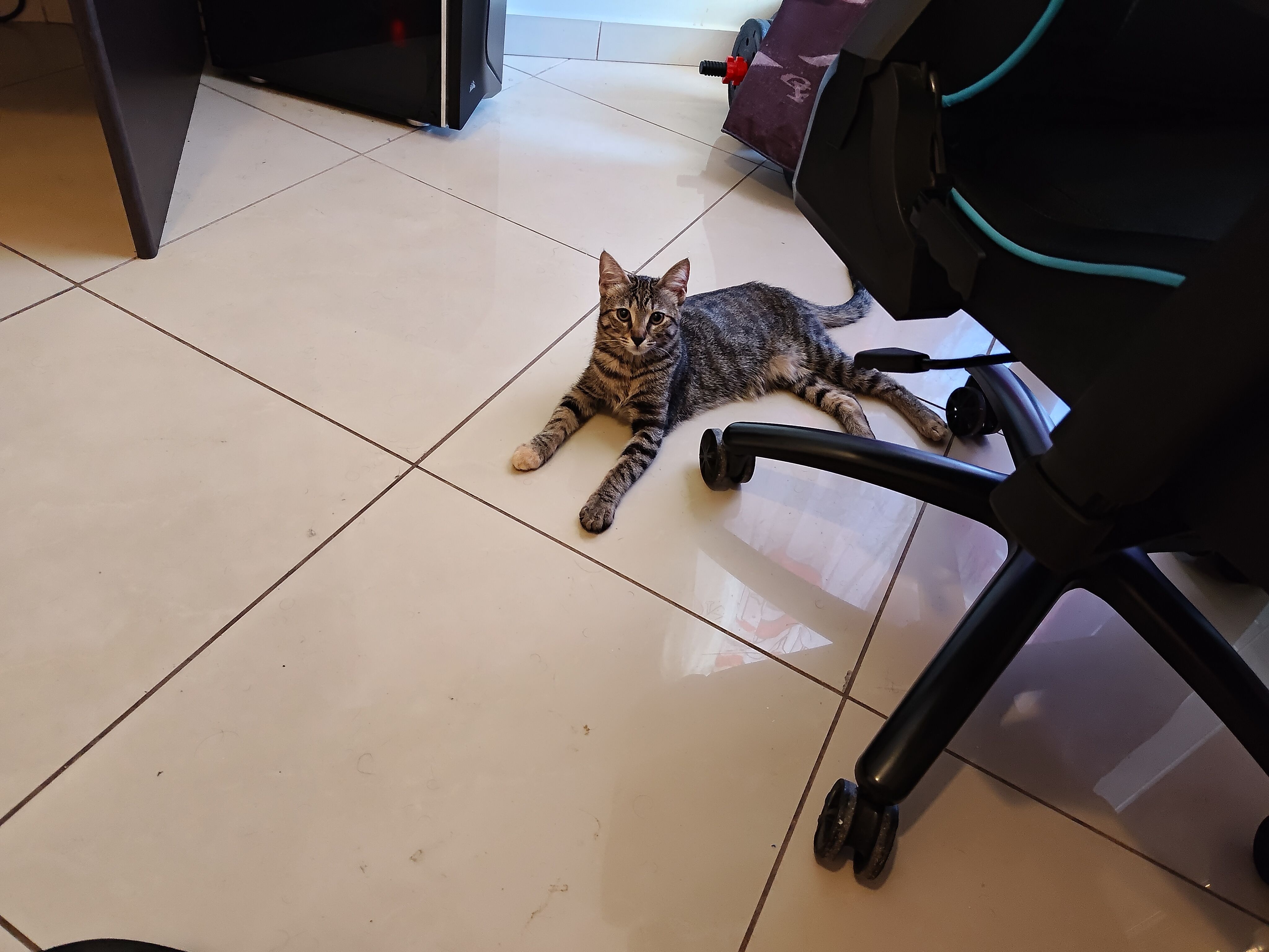 Μεϊ - Αγίου Νεκταρίου, Glyfada