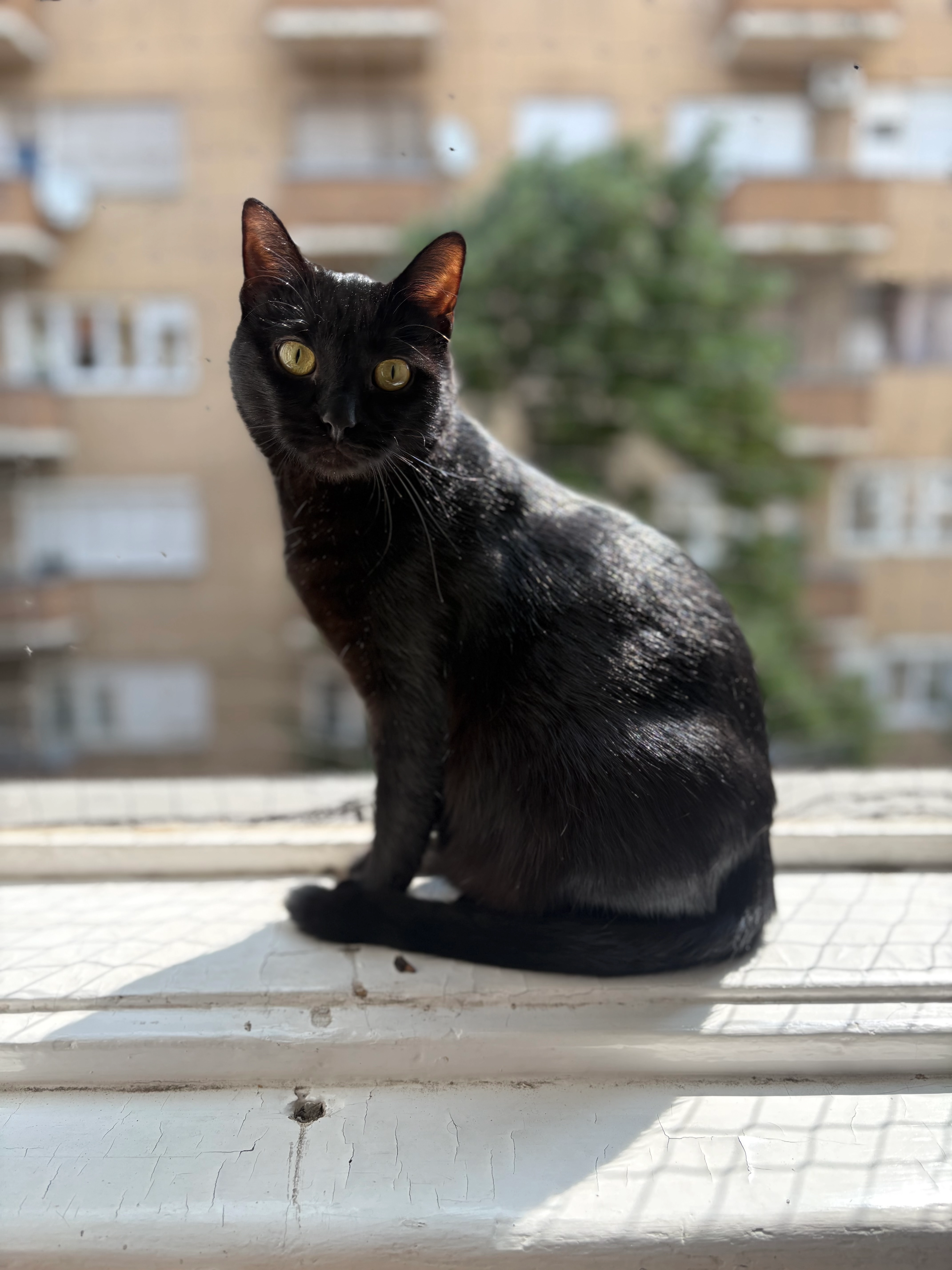 Raven - Ii. János Pál Pápa Tér 13, Budapest