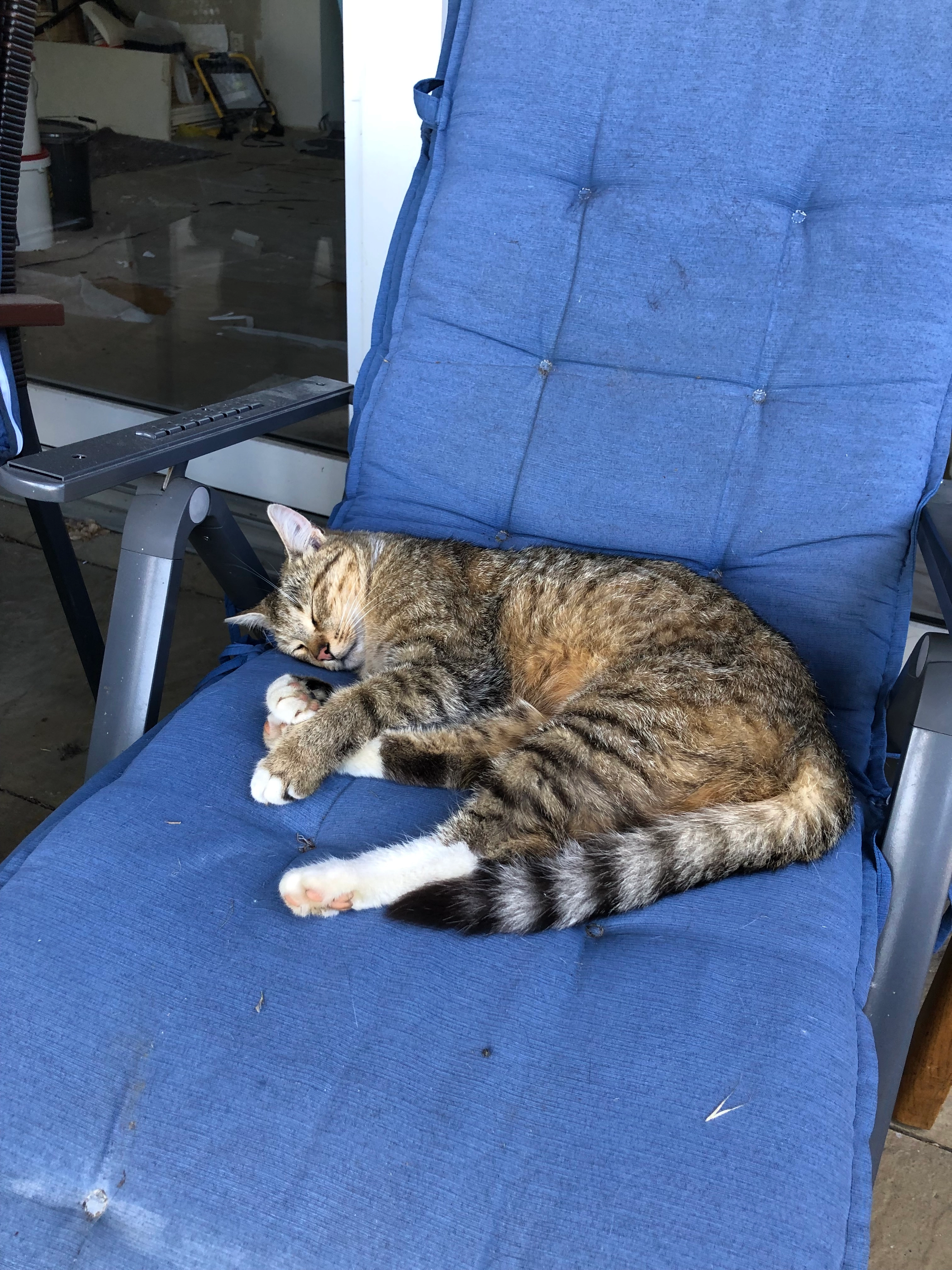 Lio - Horstweg, Lübbecke