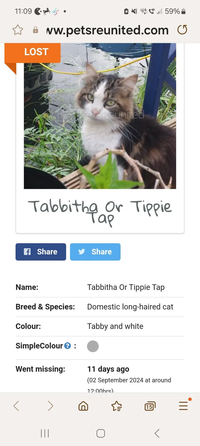Tippie tap - Roper Avenue, Heanor