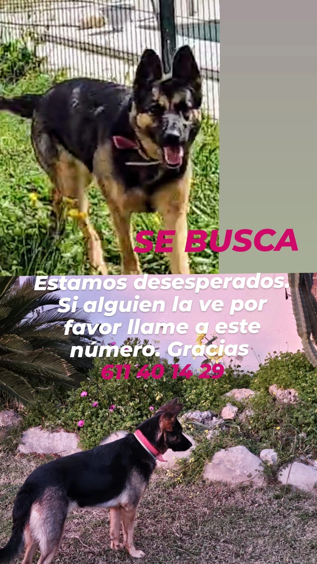 Mia - Camí Serra Granada, Santa Eulàlia de Ronçana