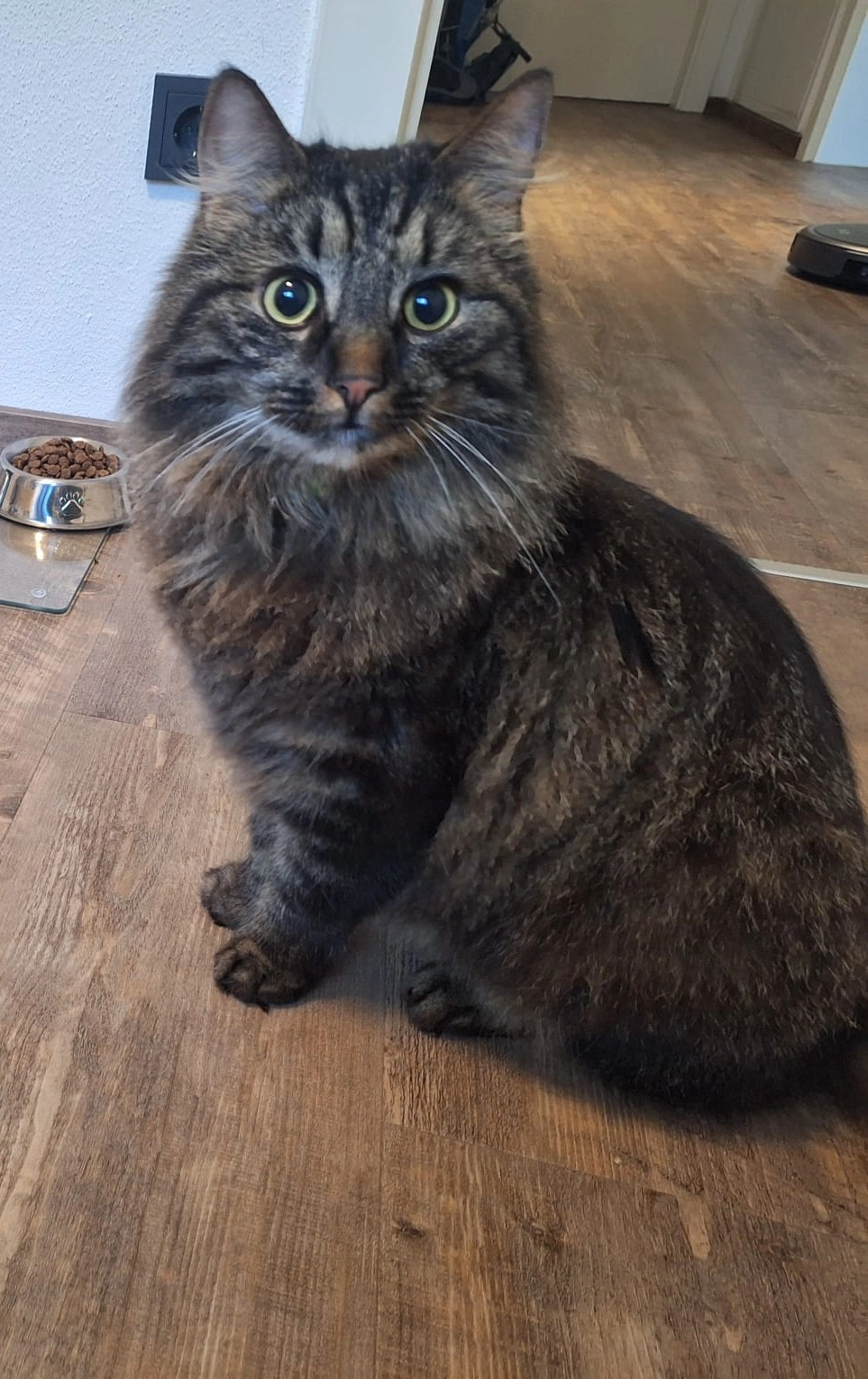 Lordy - Dorfbeuern 89, Dorfbeuern