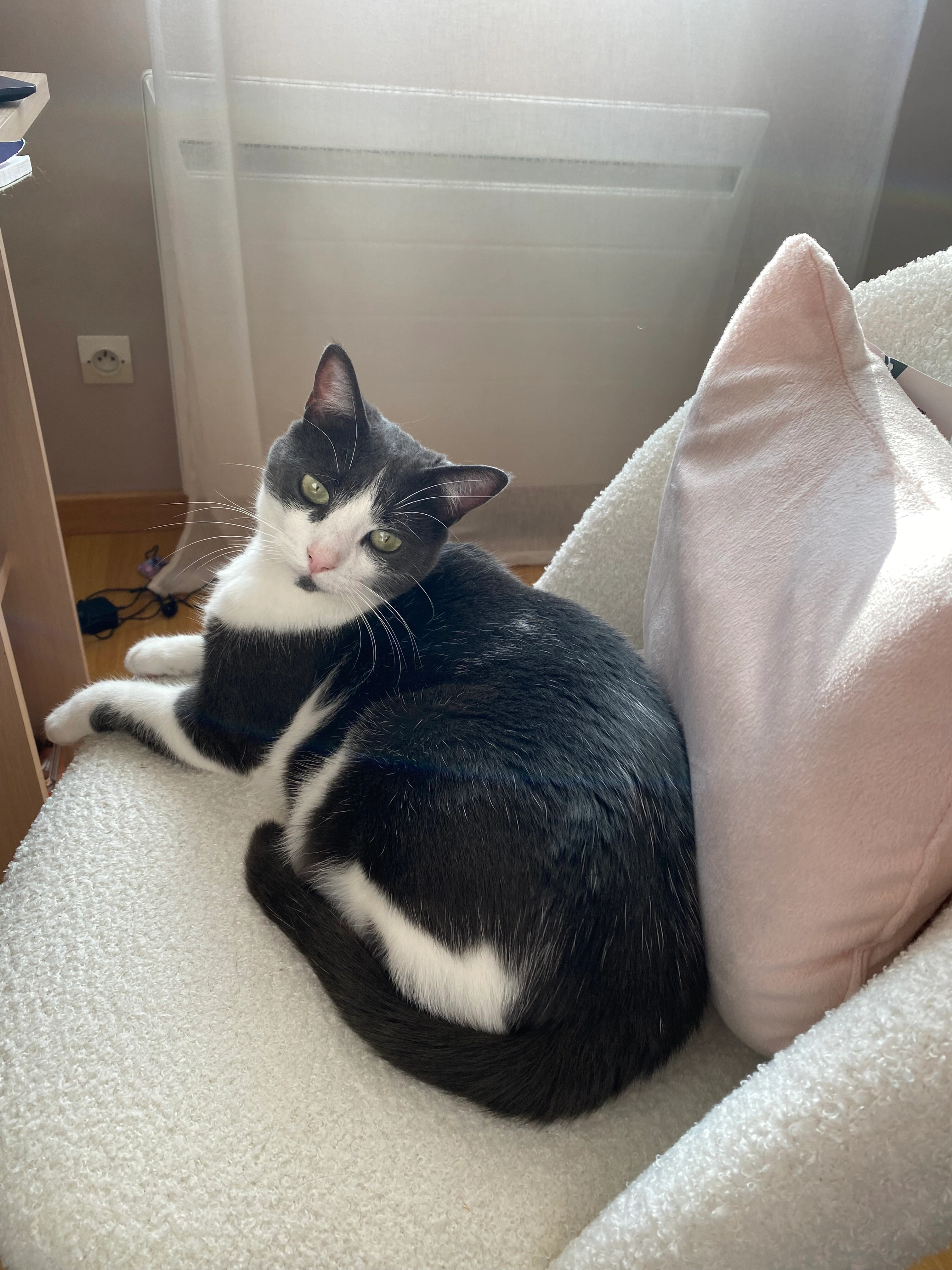 Maya  - 217 Rue de l'Europe, Golancourt