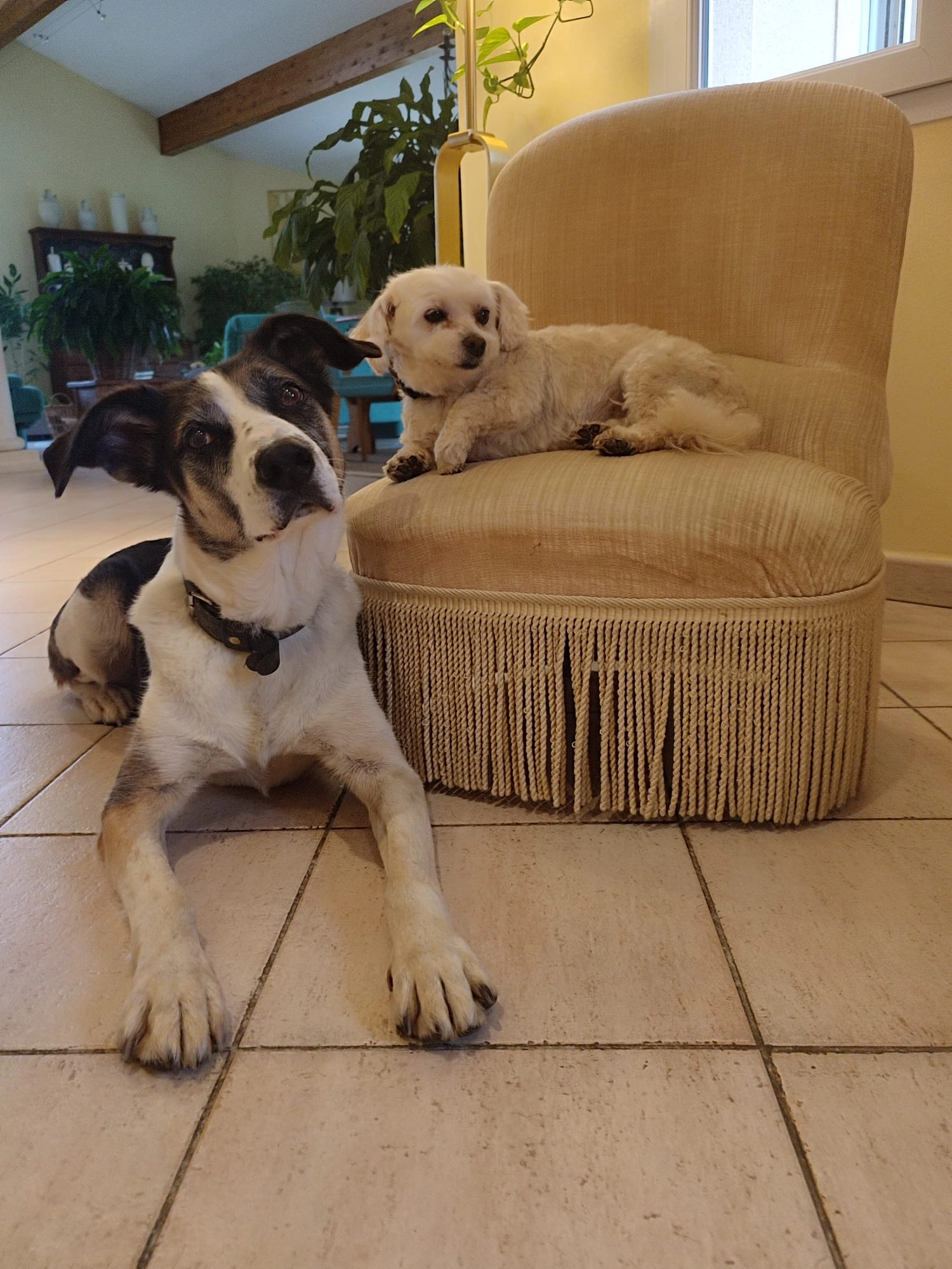 Whistle - 593 Route de Coutois, Millery