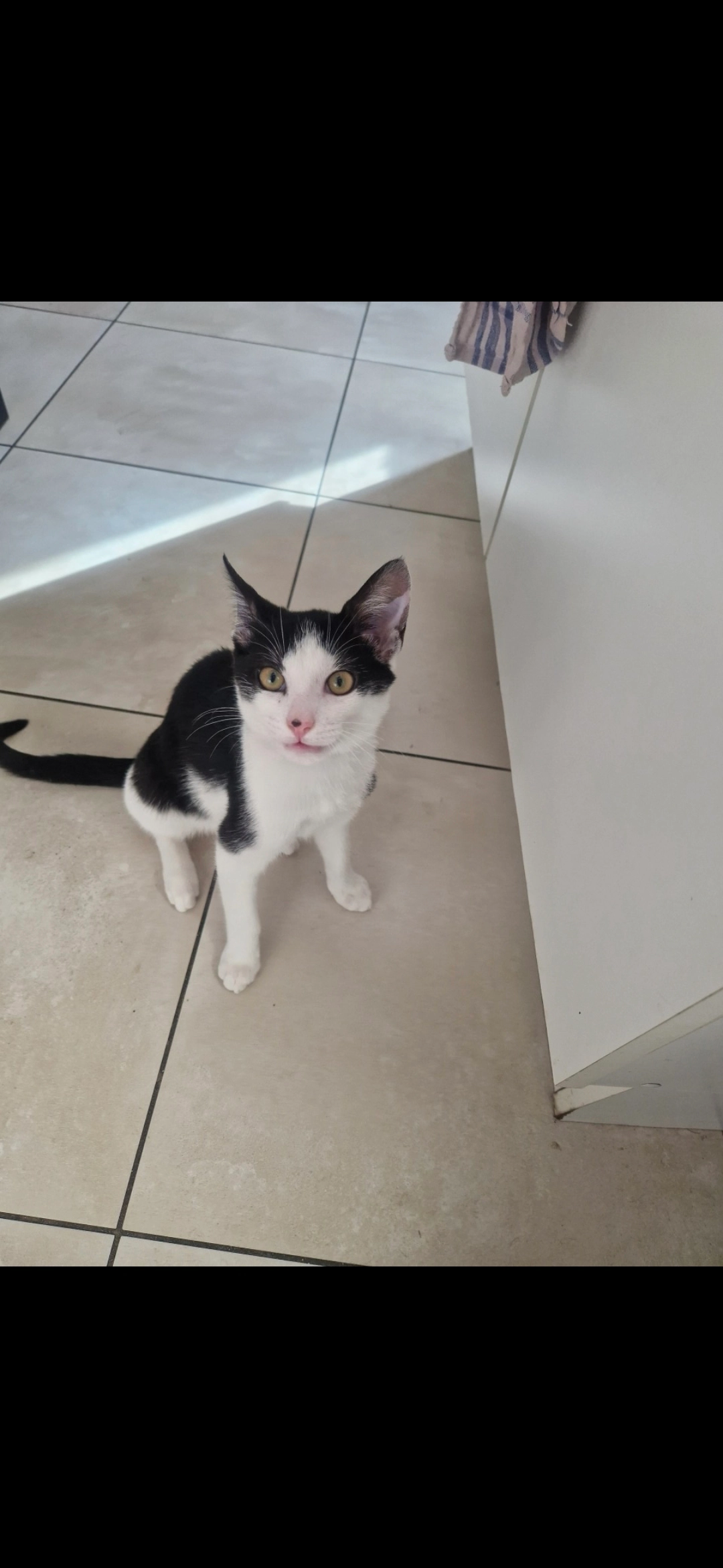 Bounty - 49 Rue de l'Église, Marboué