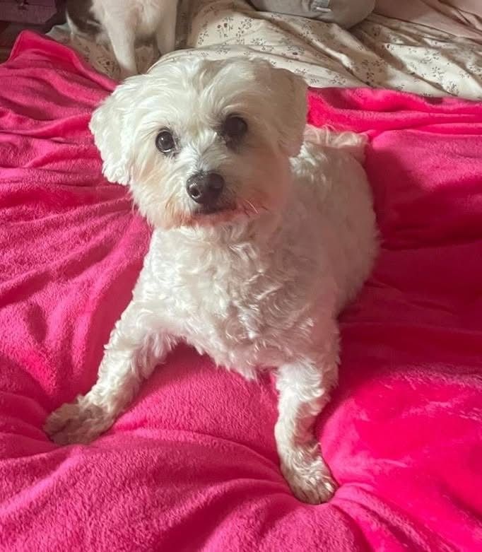 Ñorro  - Arcahueja, Valdefresno