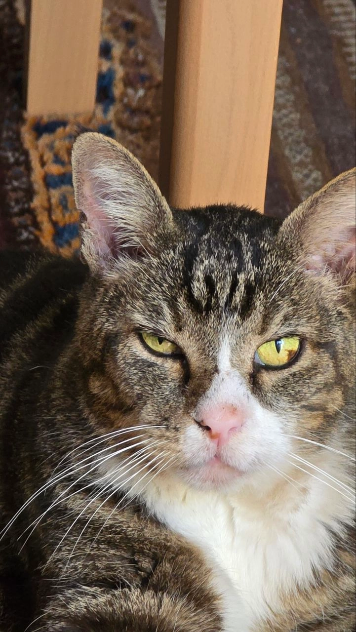 Kolumbus - Eichbachgasse, Graz