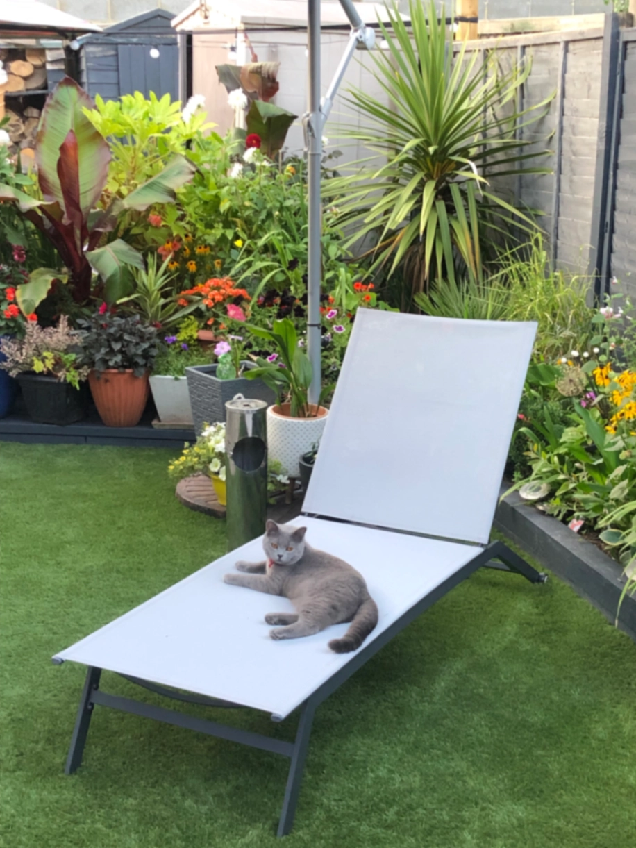 Spice - Brandon Way Crescent, Leeds