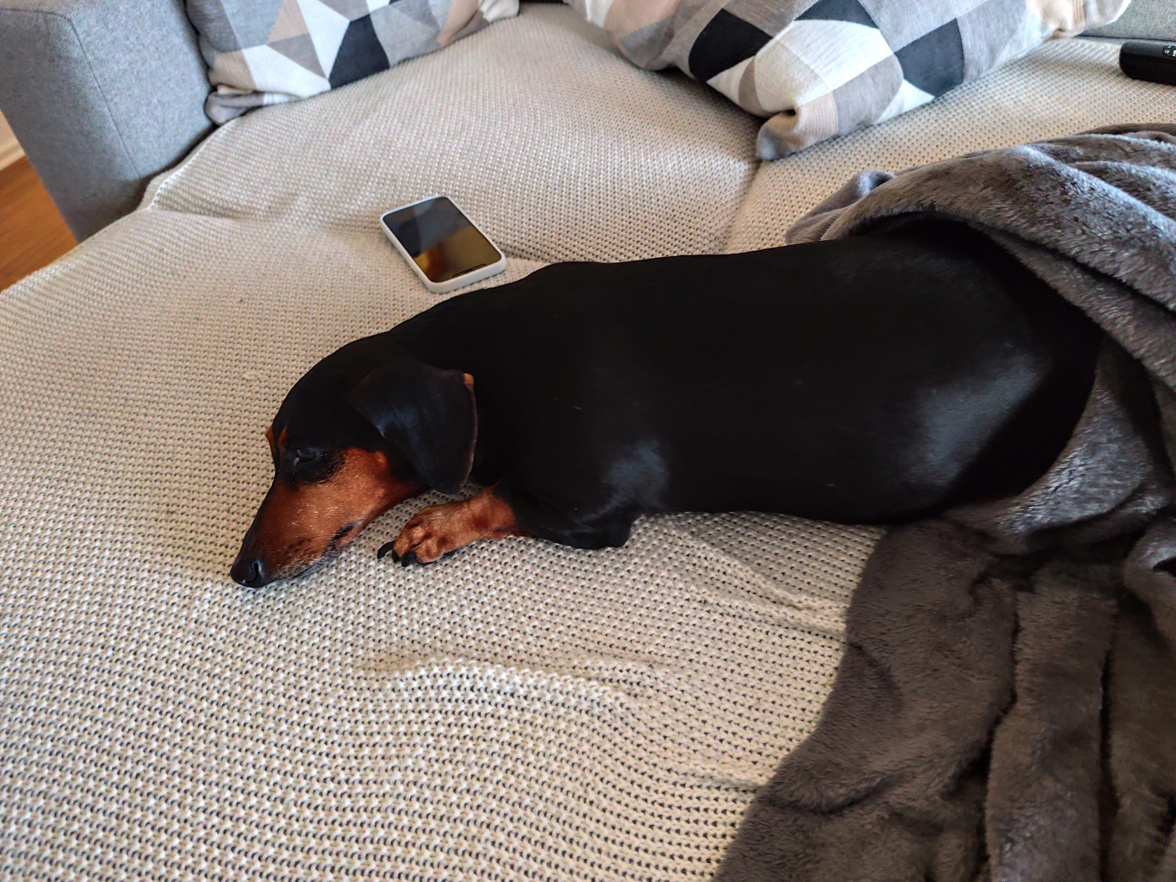 Belinha - Hermann-Poppe-Straße, Heidenheim an der Brenz