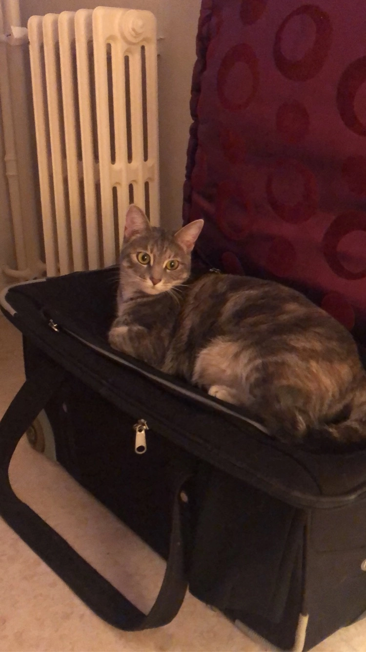 polka - La Boisselais, Ercé-en-Lamée