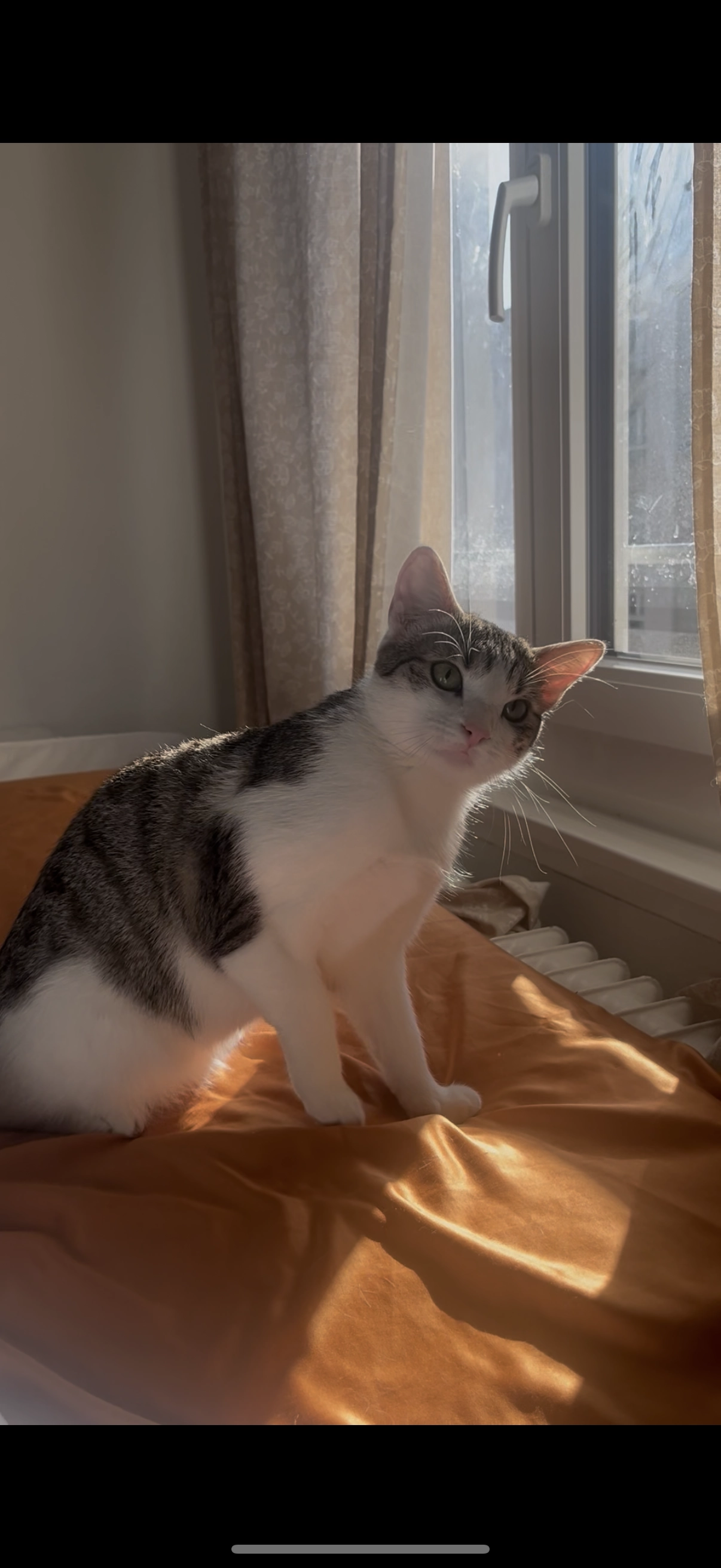 Centy - Rue Daubin, Genève