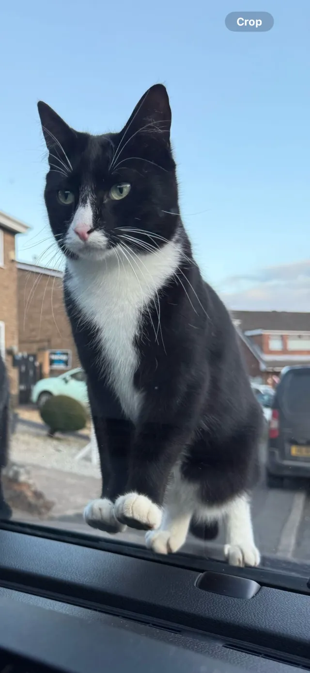 Skippy - Linacre Way, Stoke-on-Trent