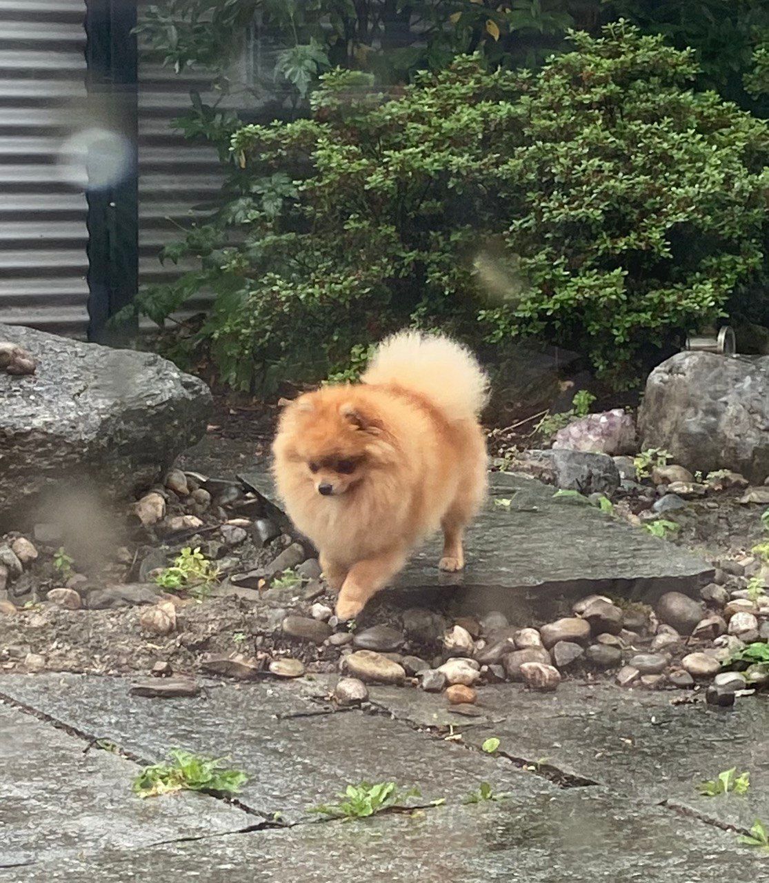 Tessi - Tüllesamstraße, München