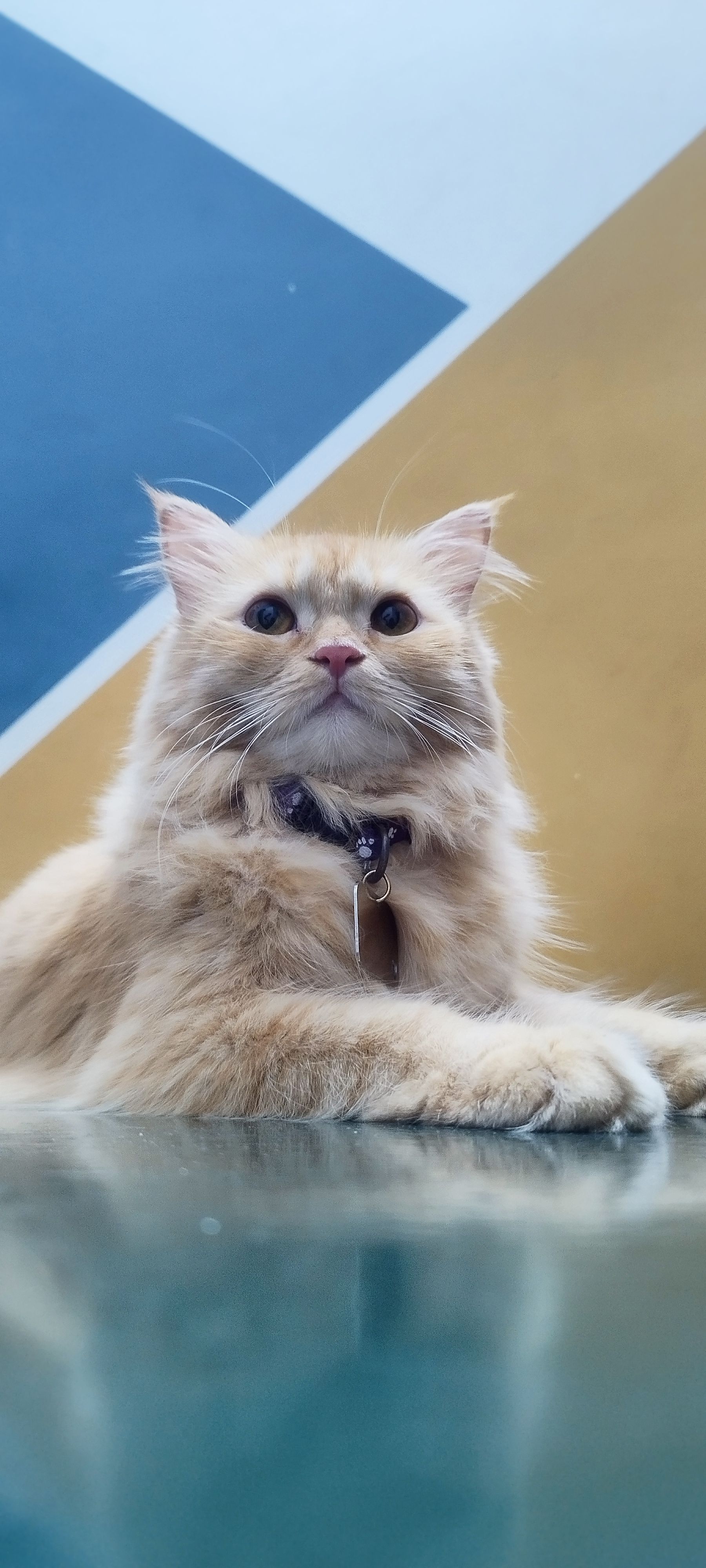 Pops - Semberi road, Pennadam , Pennadam 