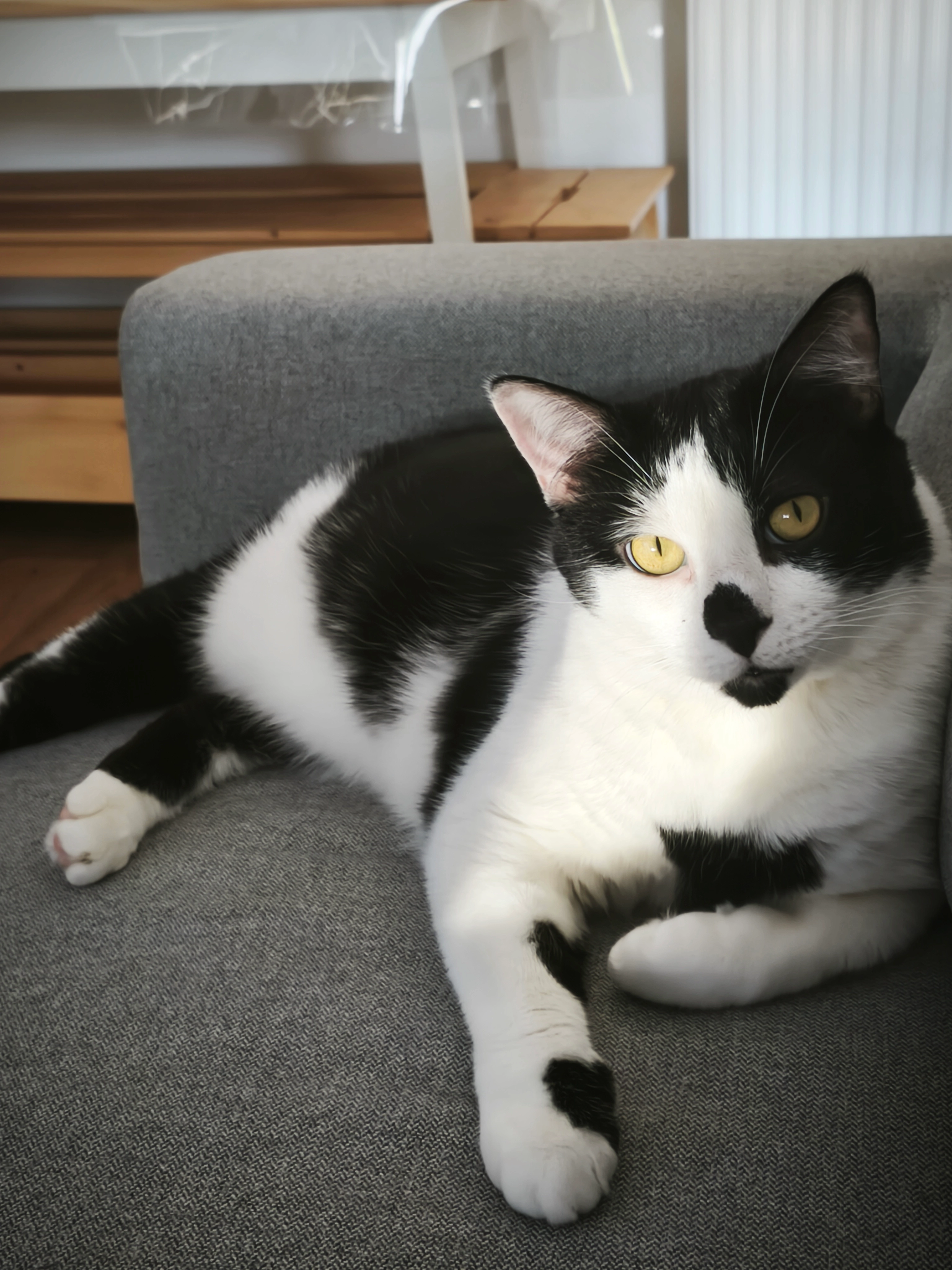 Kuro - Chemin de la Tuilerie, Jouars-Pontchartrain