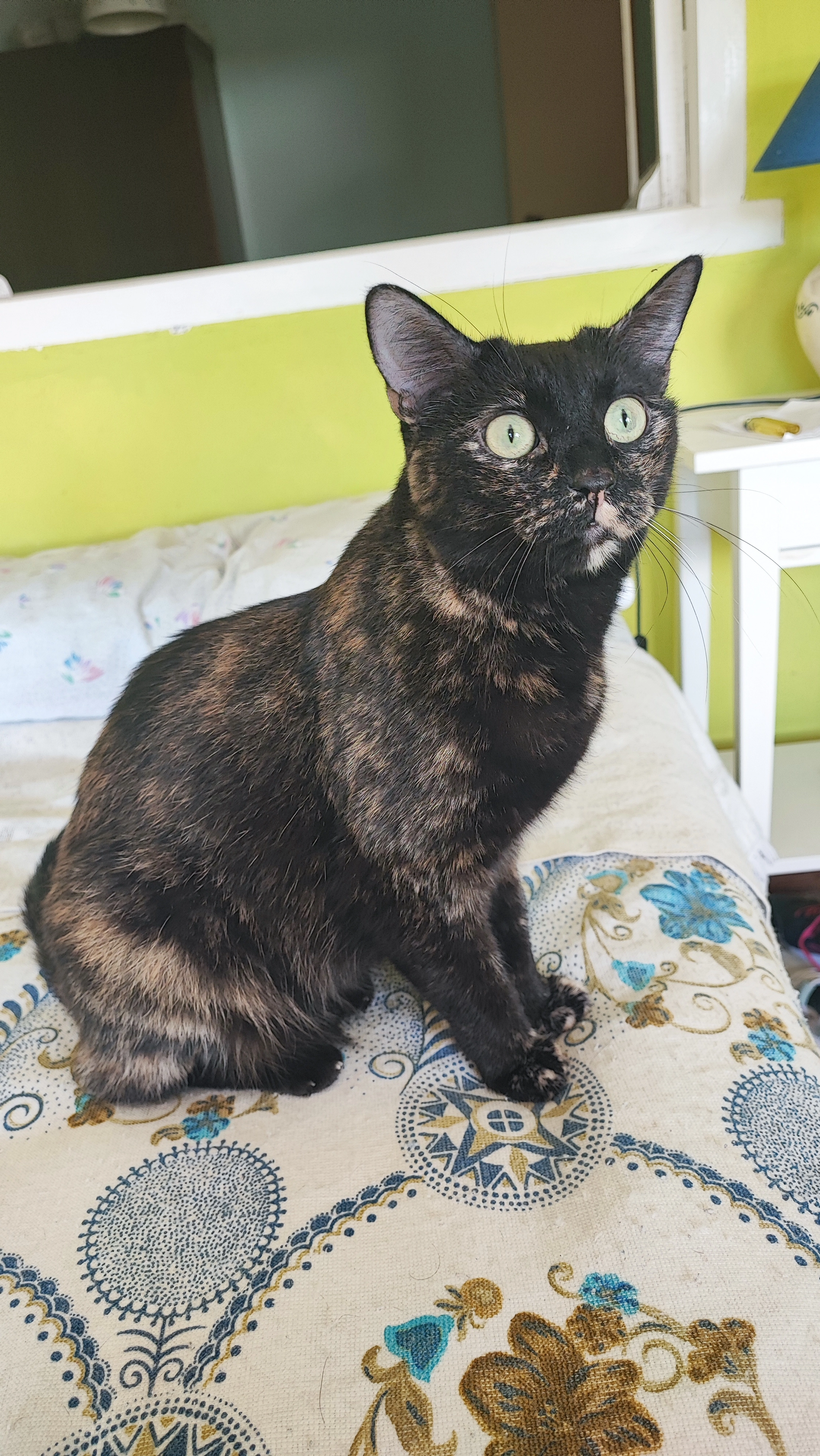 Cori - Calle de María Blanchard 2, San Sebastián de los Reyes