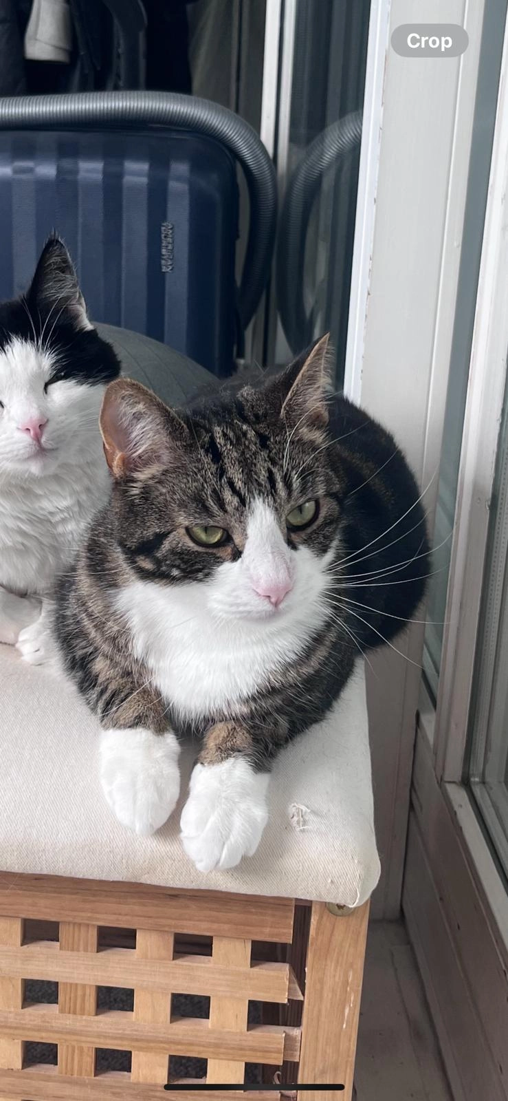 Kebbe - Rydevænget, Aarhus N