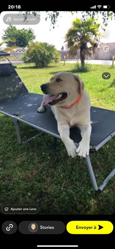 Rêveur  - 53 Rue Hélène Boucher, Herblay-sur-Seine