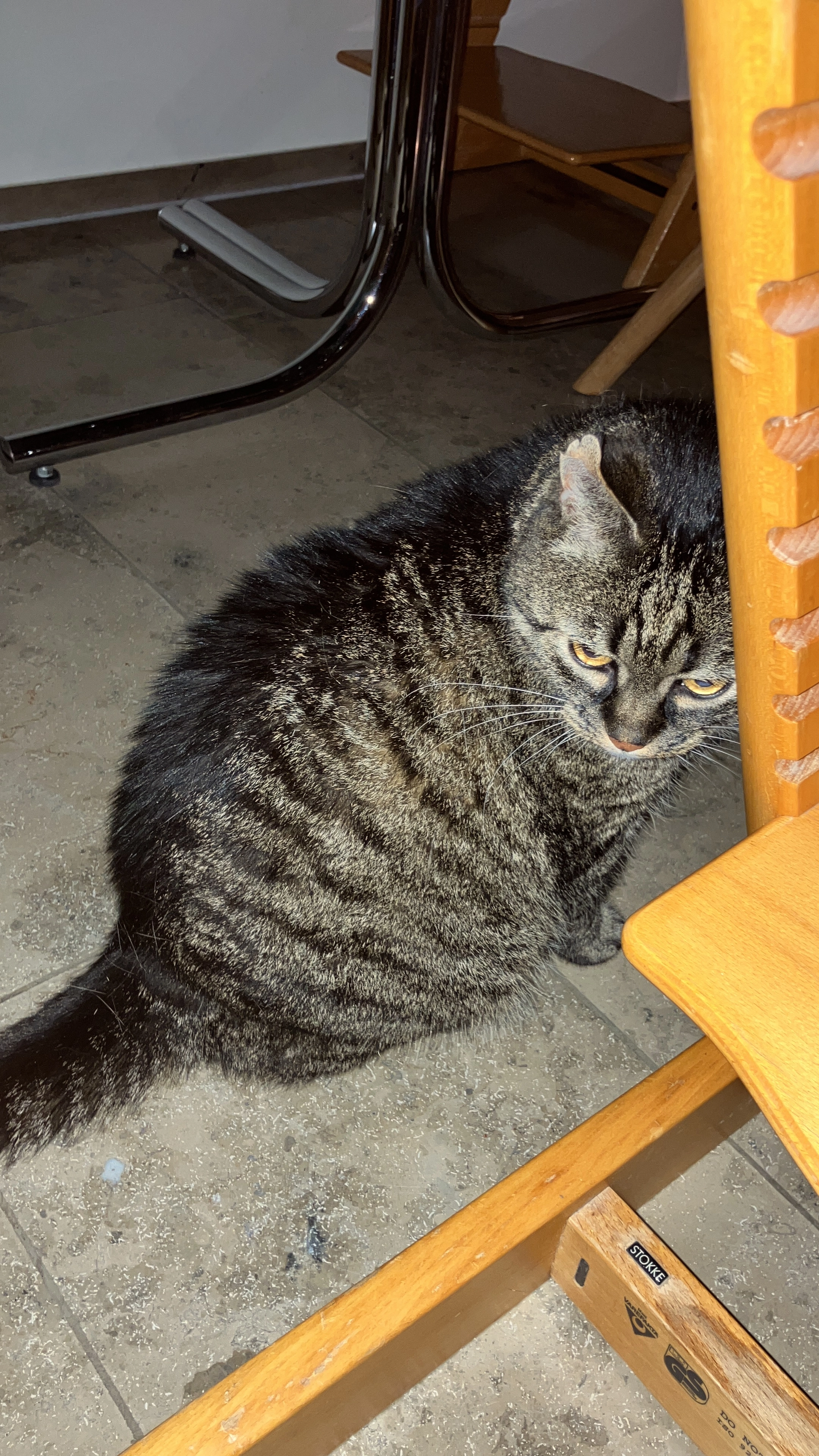 Jimi  - Weizackerstrasse 25, Winterthur