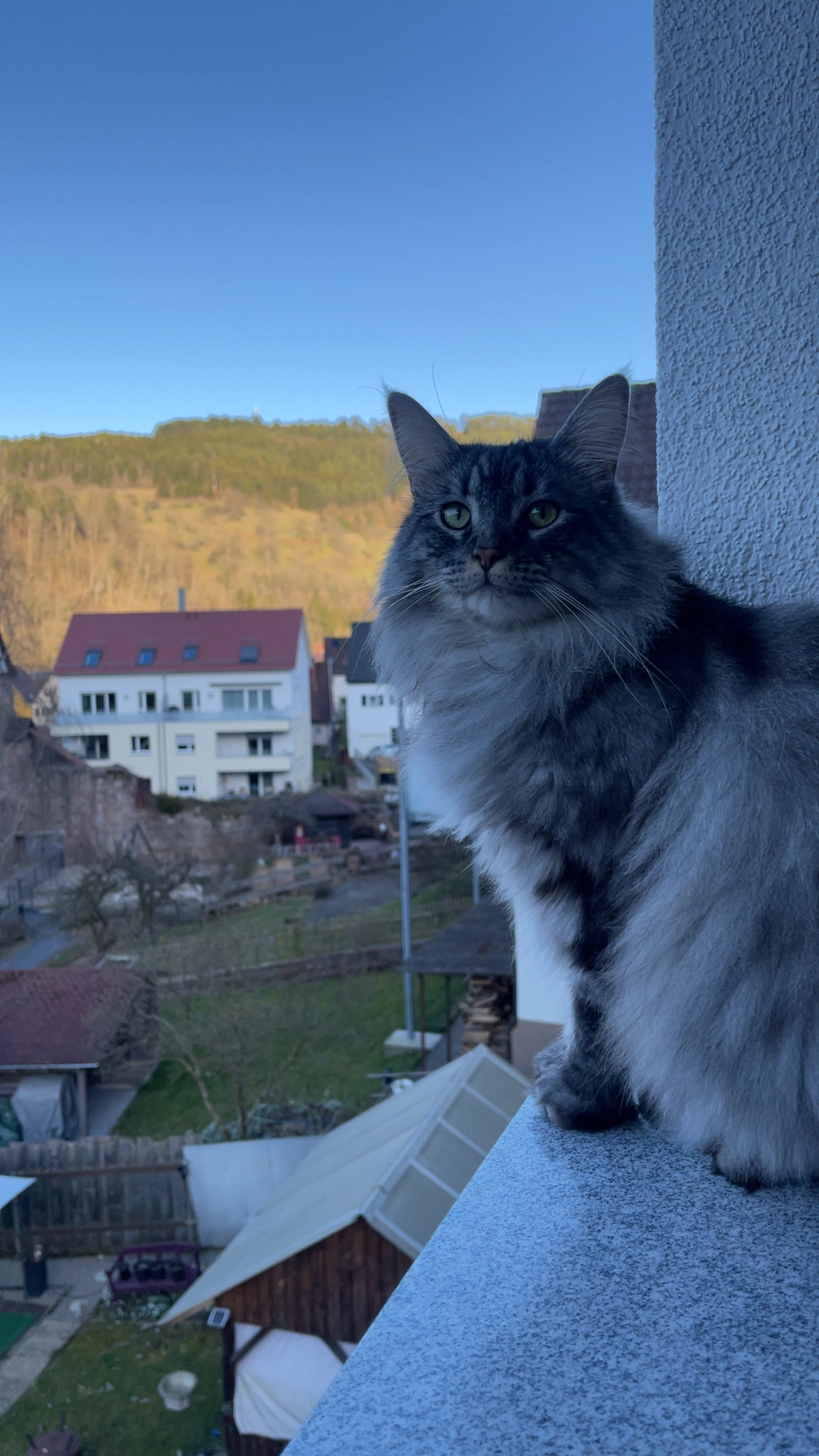 Luna - Gartenstraße, Wildberg