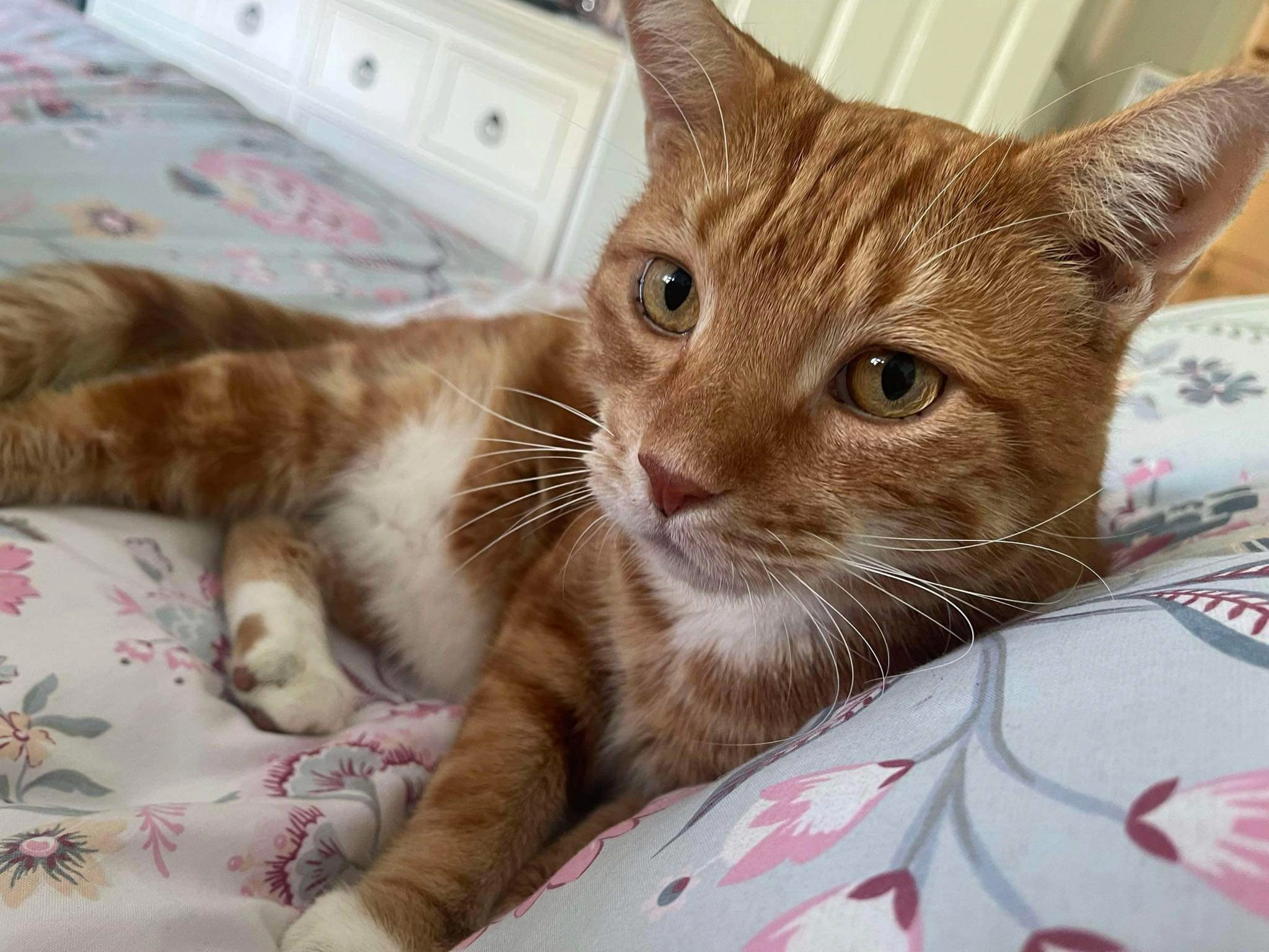 Roman - Warstones Drive, Wolverhampton