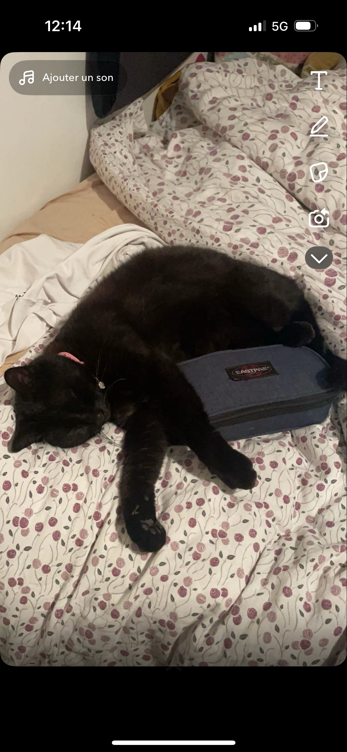 Choupette - Impasse Baudouin, La Plaine-sur-Mer