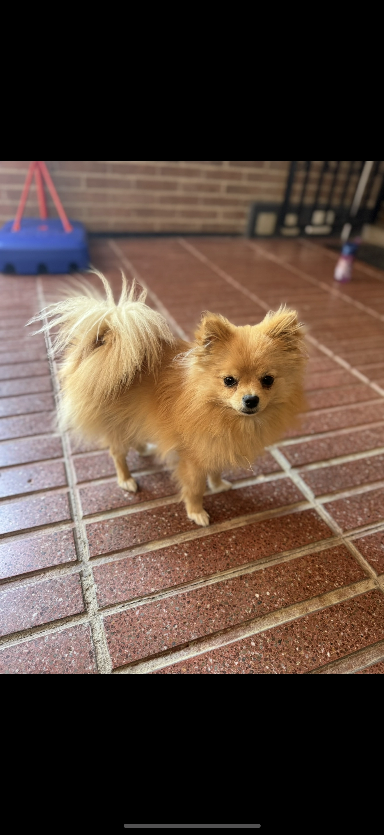 Channel - Calle de Julián Camarillo, Madrid