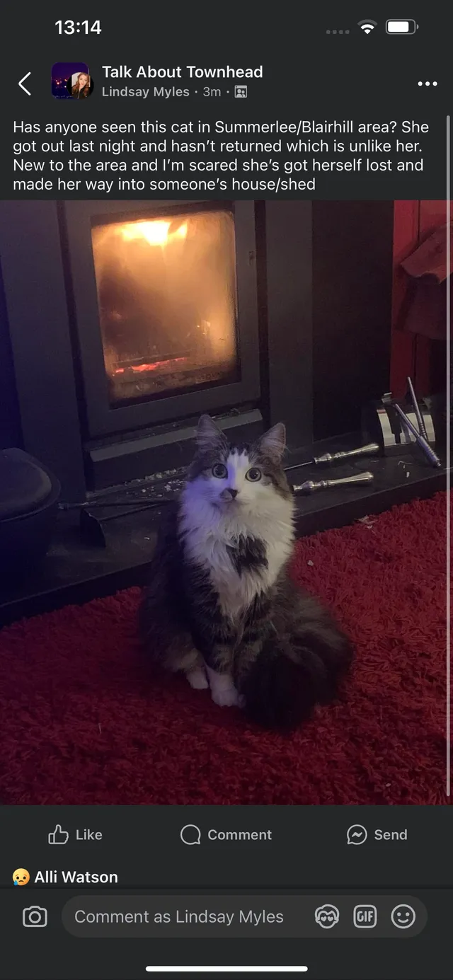 Luna - Bothwell Place, Coatbridge