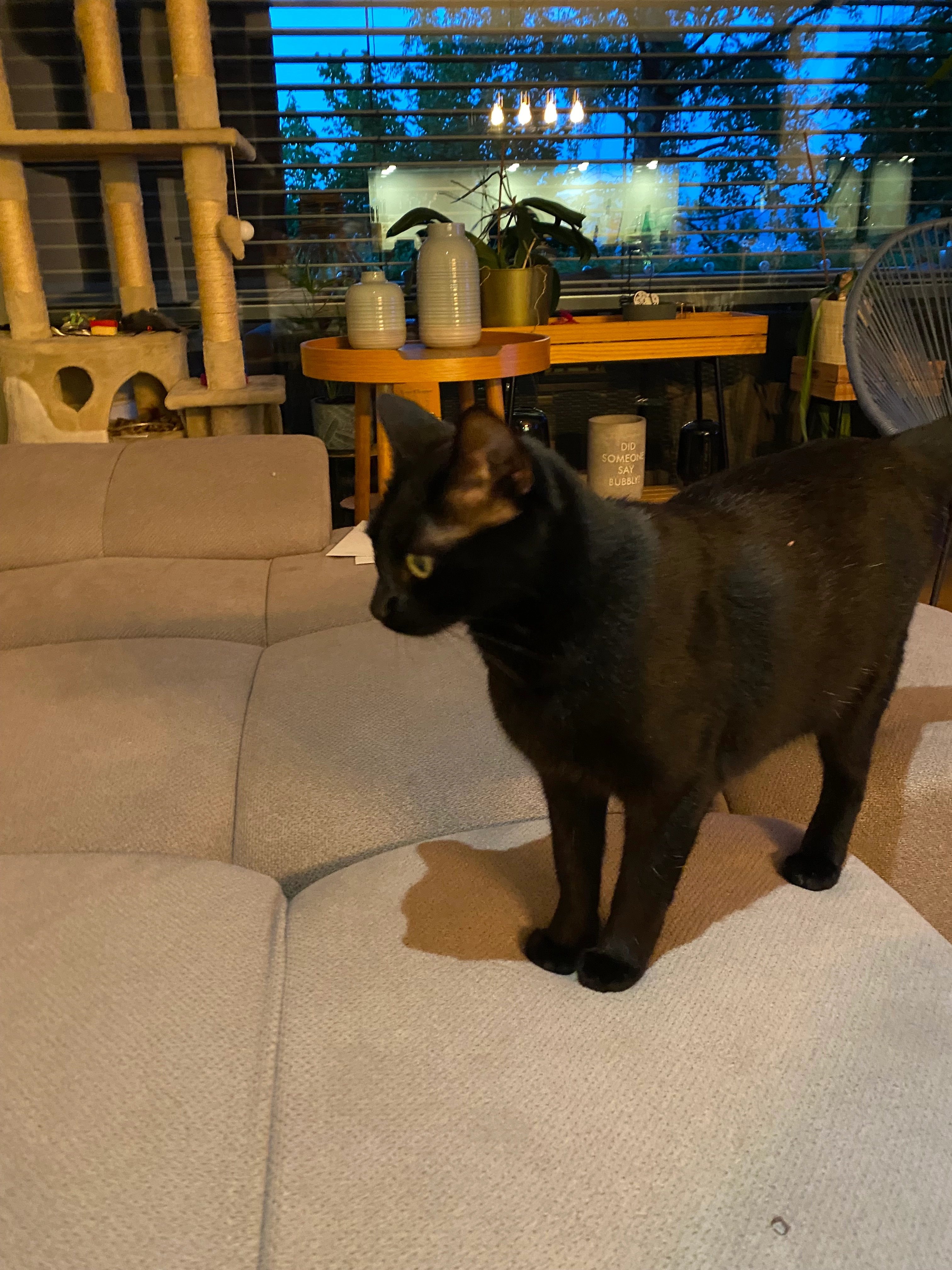 Nahia - Neugasse 3, Horgen