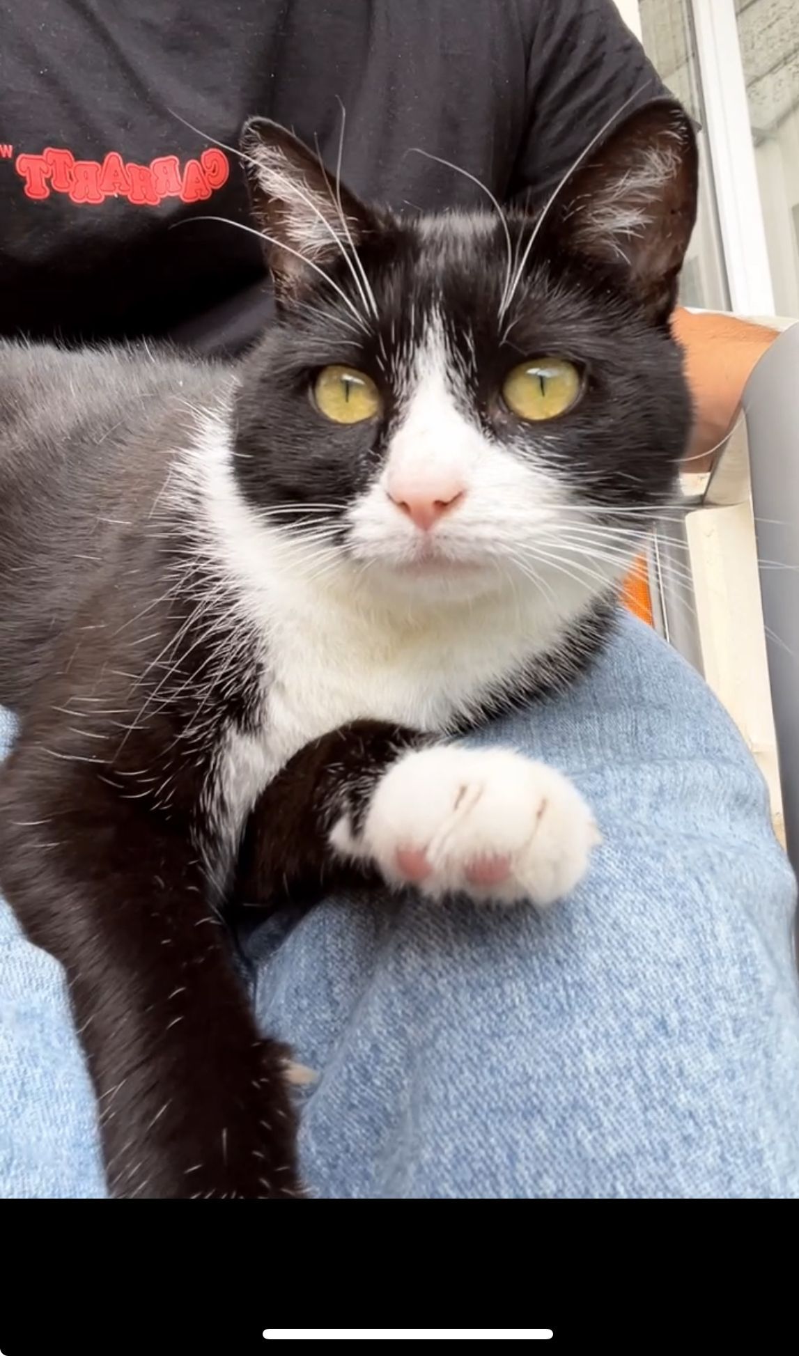 Nala  - 72 Rue René Duguay-Trouin, Lorient